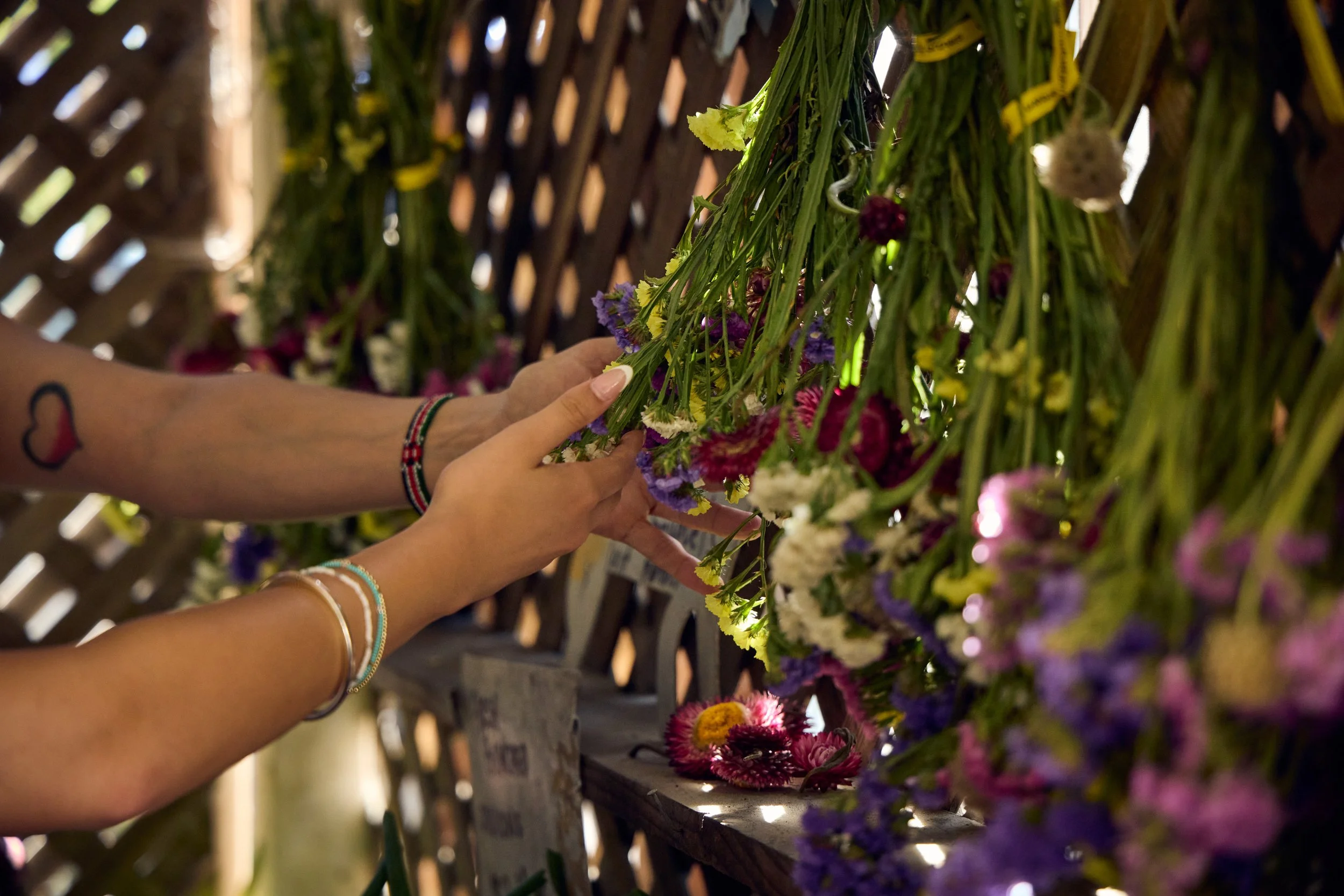 Debonair Events staff member touching fresh produce hanging on dark wooden latice inside Bolinas farm stand.