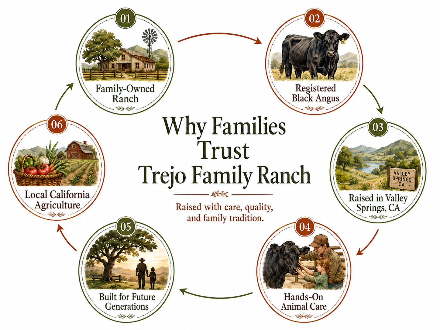 An infographic titled "Why Families Trust Trejo Family Ranch" with a circular flowchart showing six reasons. 1. Family-Owned Ranch with a house, tree, windmill, and fence. 2. Registered Black Angus cow. 3. Valley Springs, California landscape. 4. A person with a child caring for a black cow. 5. People walking past a large tree. 6. Local California agriculture with a basket of produce and a farm building. The flowchart emphasizes family care, quality, and tradition.