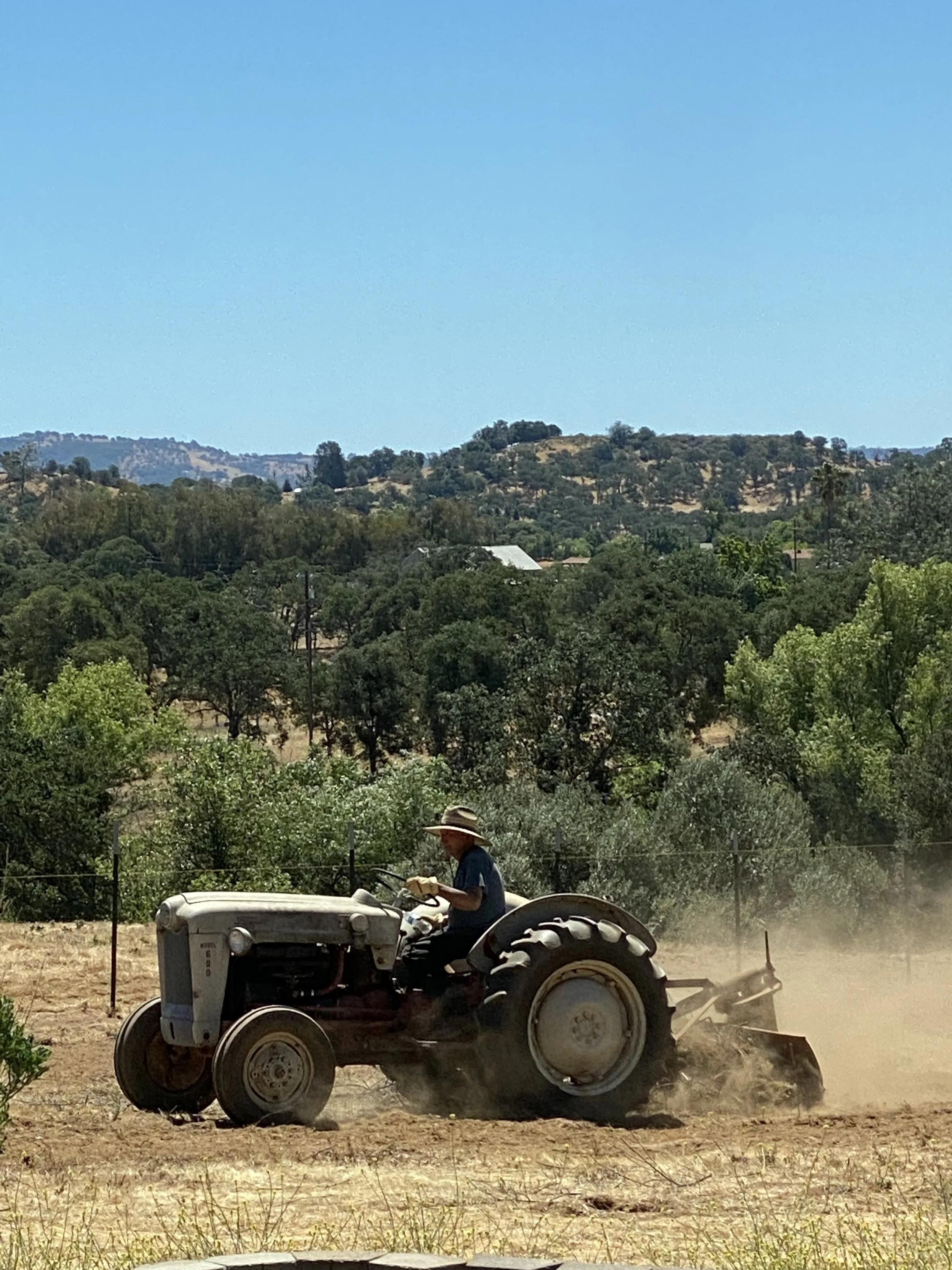 A person riding a tractor in a dry field with trees and hills in the background under a clear blue sky.