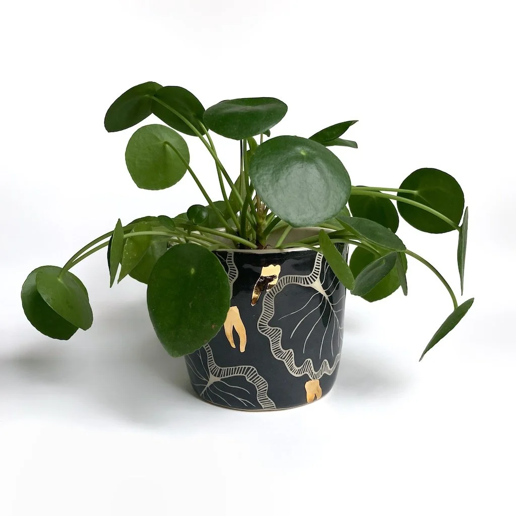 Gold Teeth Planter, 2021