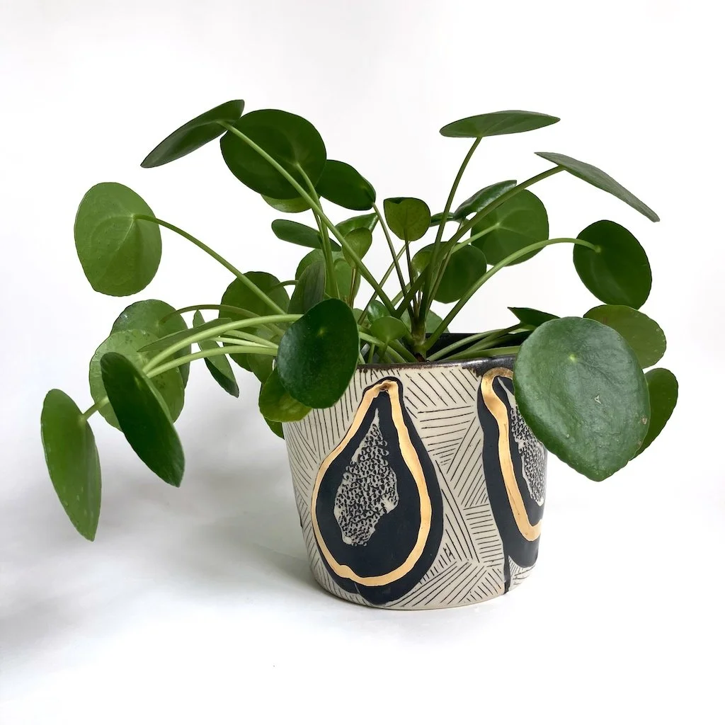 Papaya Planter, 2021