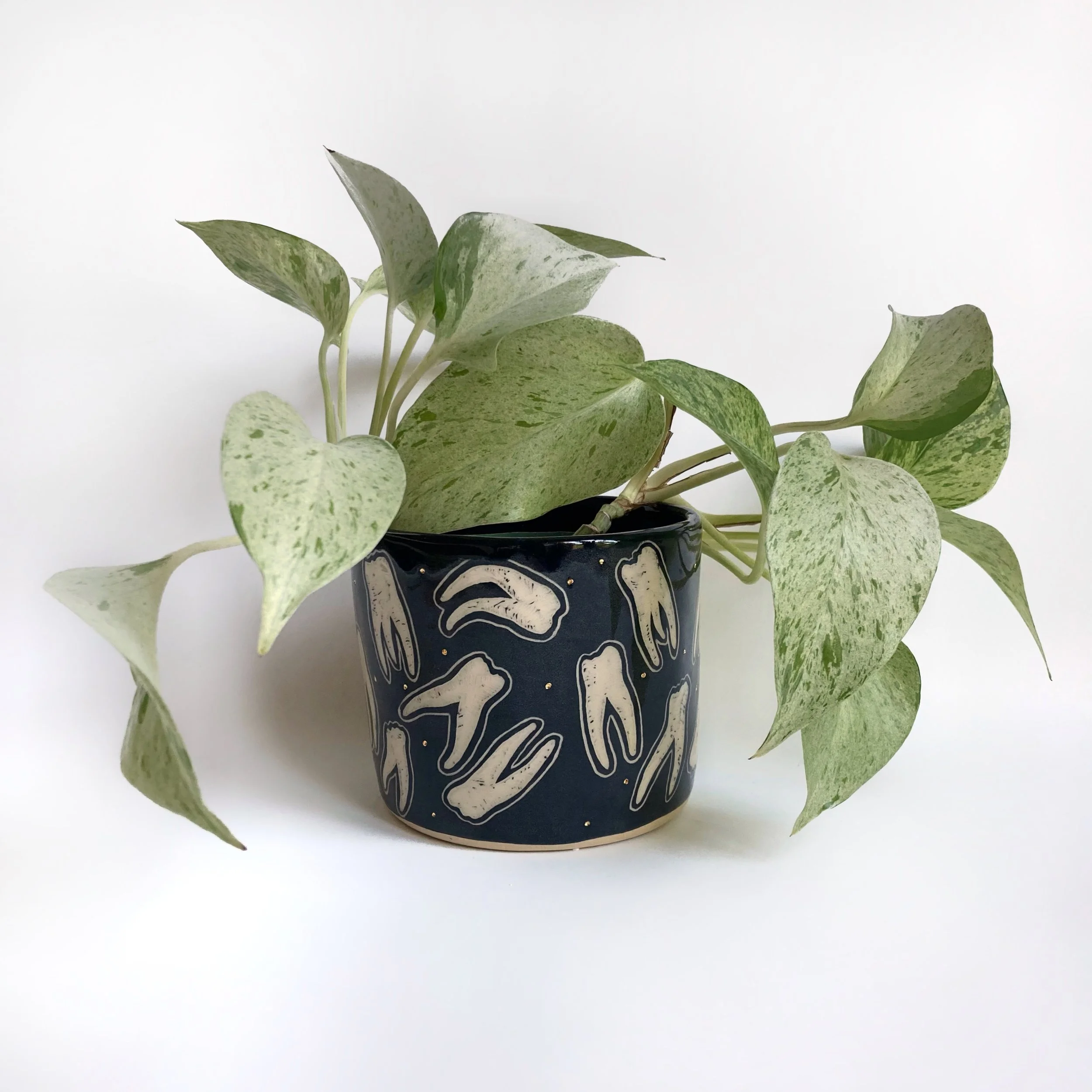Teeth & Dots Planter, 2021