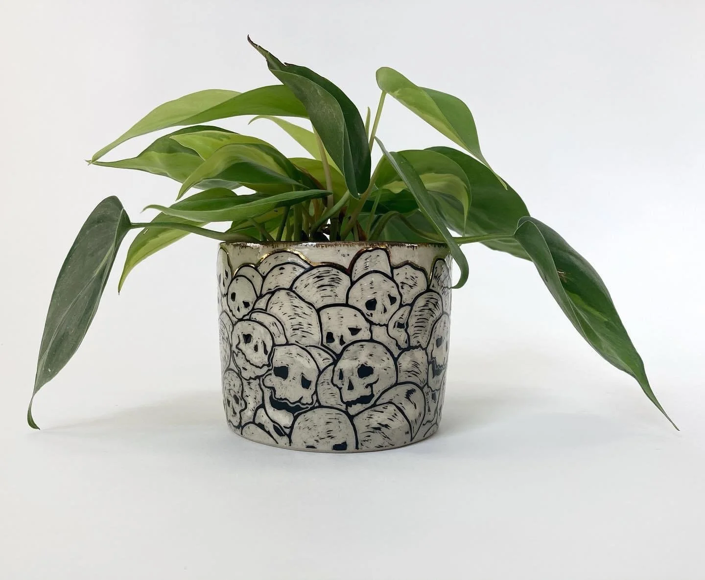 Skulls Planter, 2020
