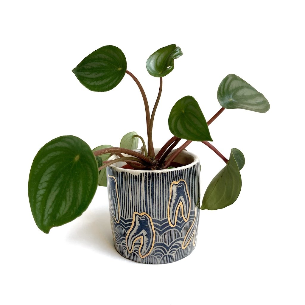 Mini Planter, 2021