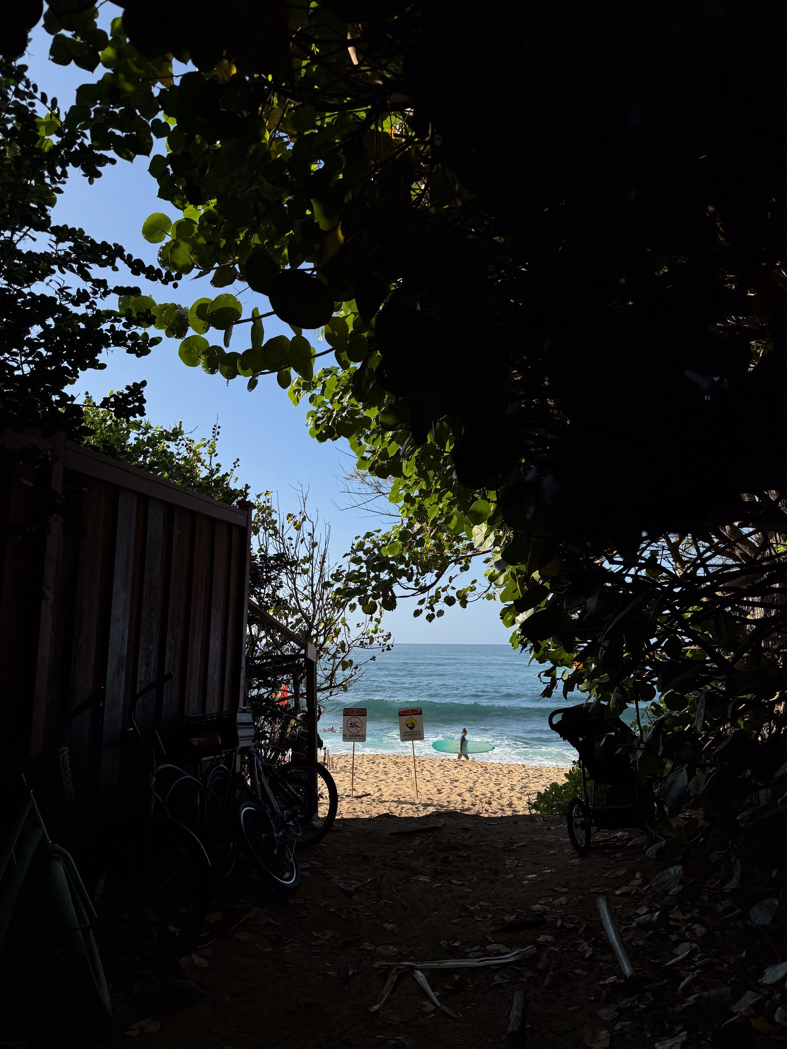 View of a beach and ocean through a dark, shaded area bordered by dense greenery. Bicycles and warning signs are visible in the shaded area near the sandy shore.