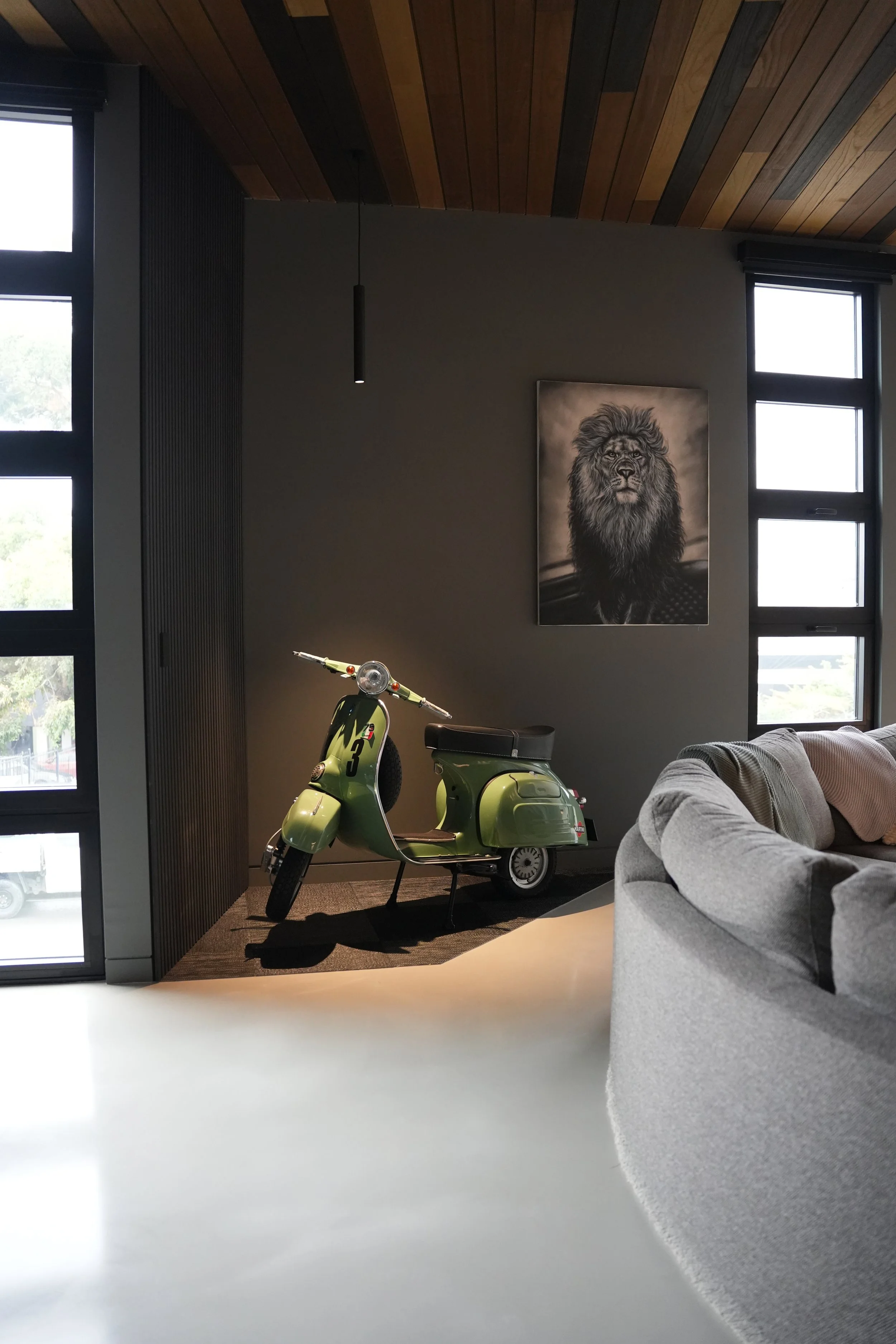 A modern living room with a gray couch, a green children's scooter, and a large black and white lion portrait on the wall. There are two large windows and a wooden ceiling with a hanging light.