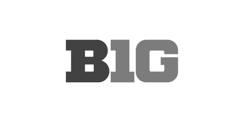 A stylized illustration of a large black bear standing behind the word 'BIG' in bold, gray letters.