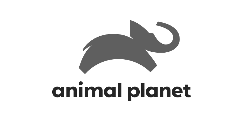 A black and white logo of Animal Planet featuring a simplified elephant and the text 'animal planet' underneath.