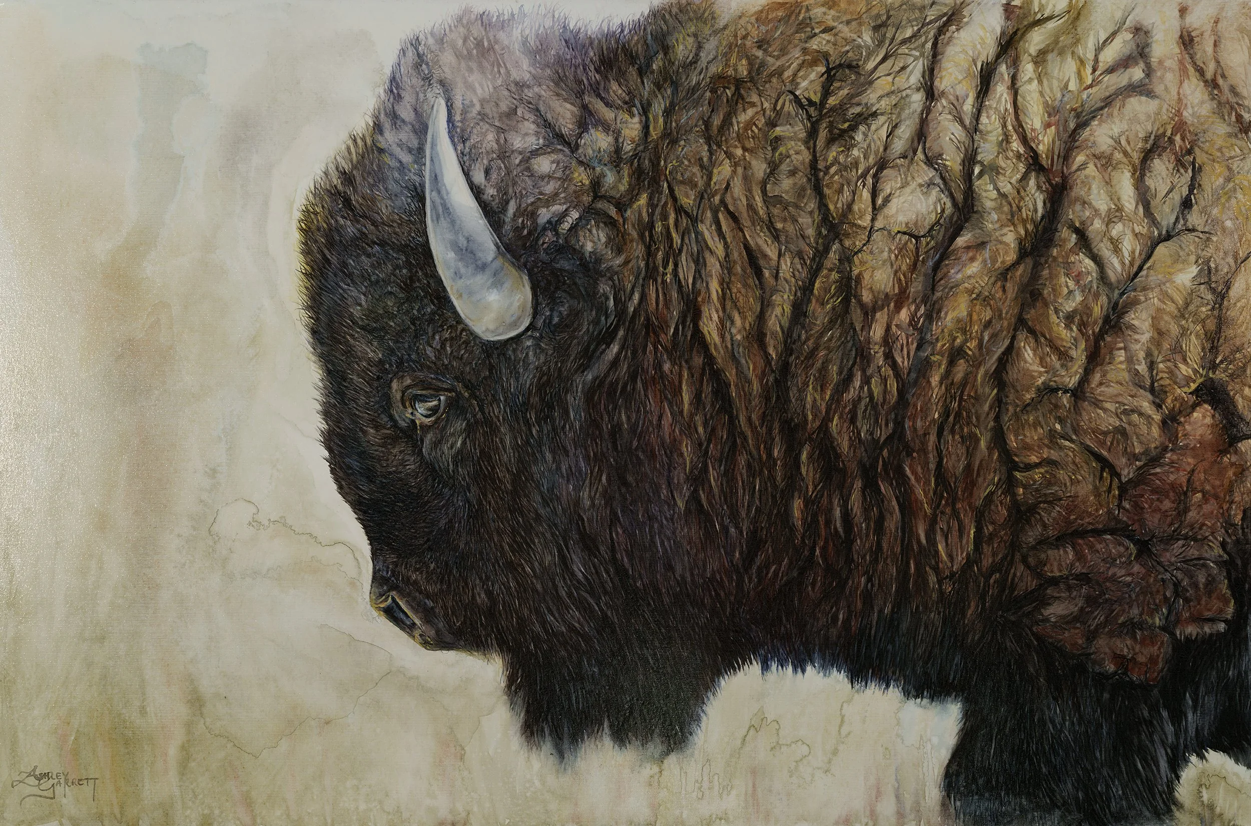 Bison
36" x 24"
Watercolor on Canvas