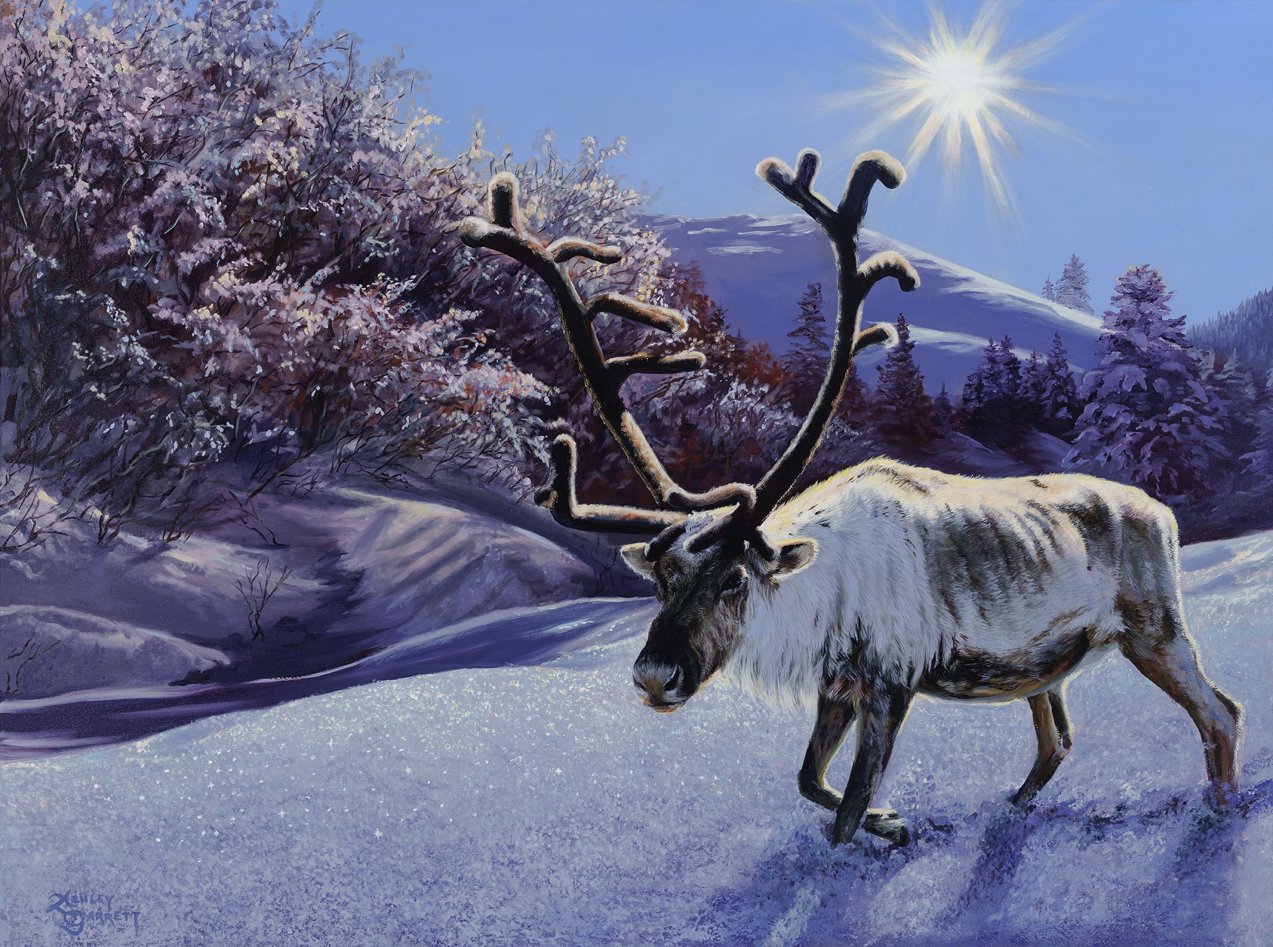 Marshmallow World
40" x 30"
Oil on Linen