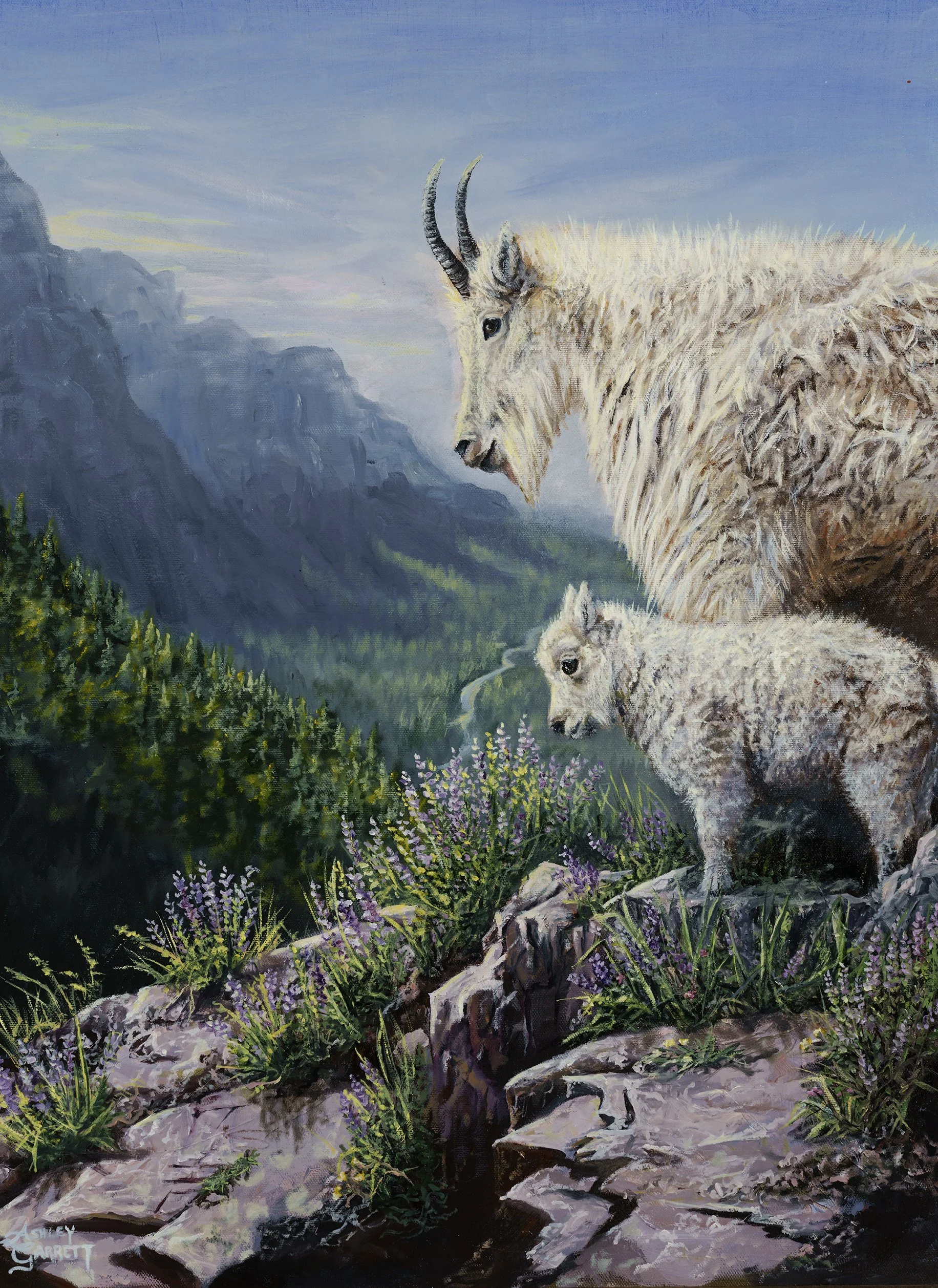 Mountain Goats
18" x 24"
Oil on Canvas
