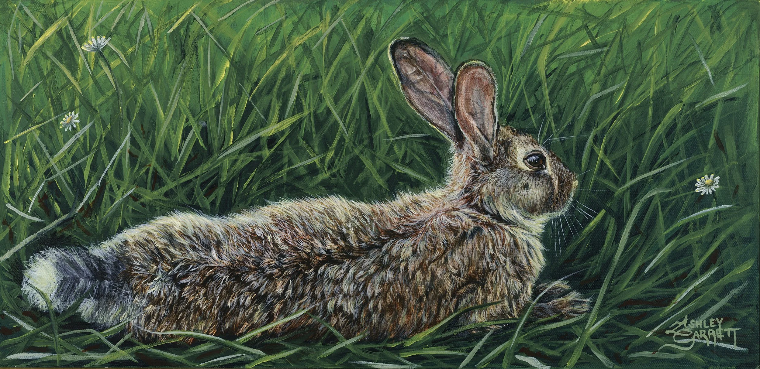 Rabbit
20" x 10"
Acrylic on Canvas