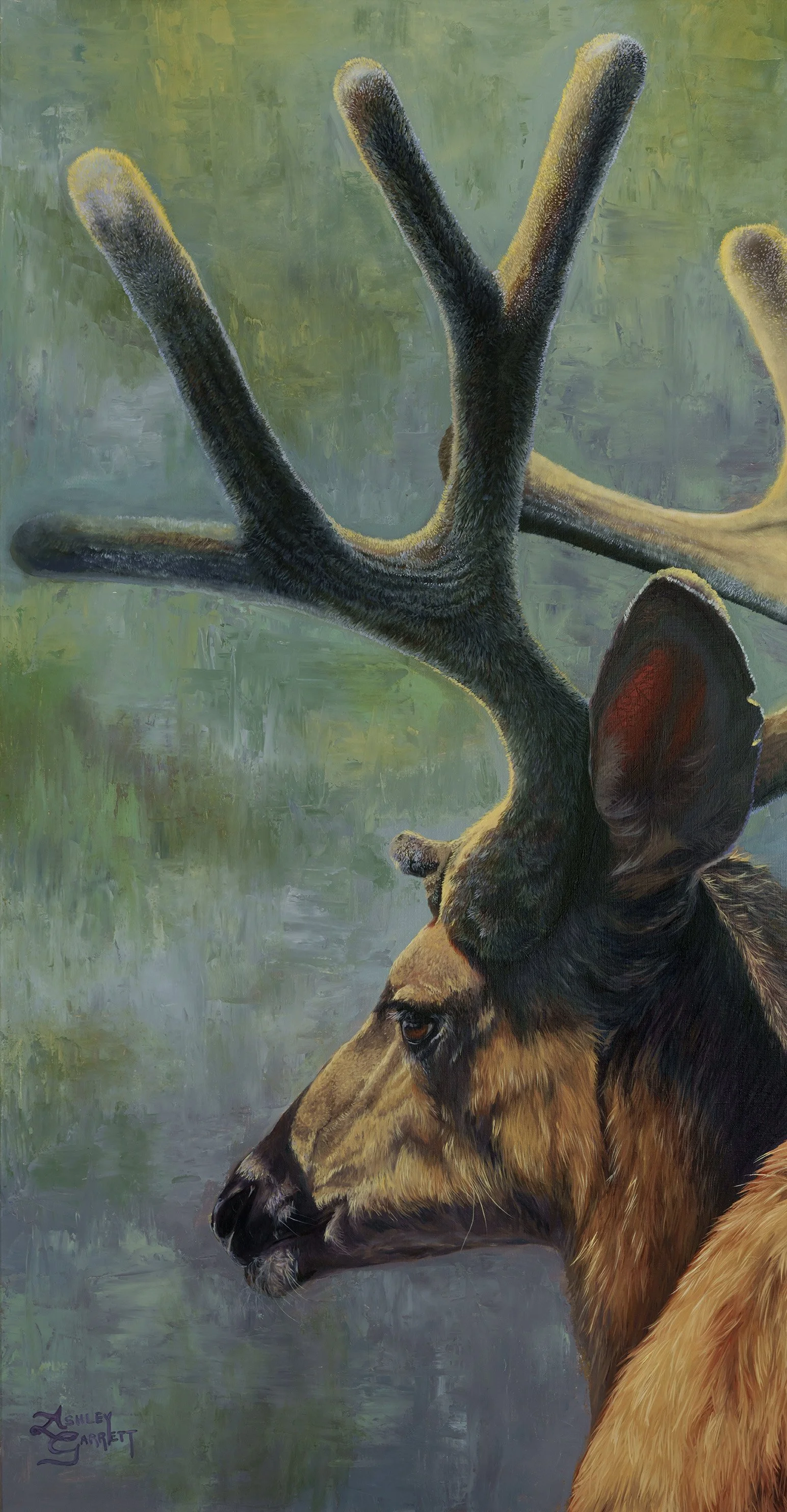 Soft Summer
32" x 60"
Oil on Linen