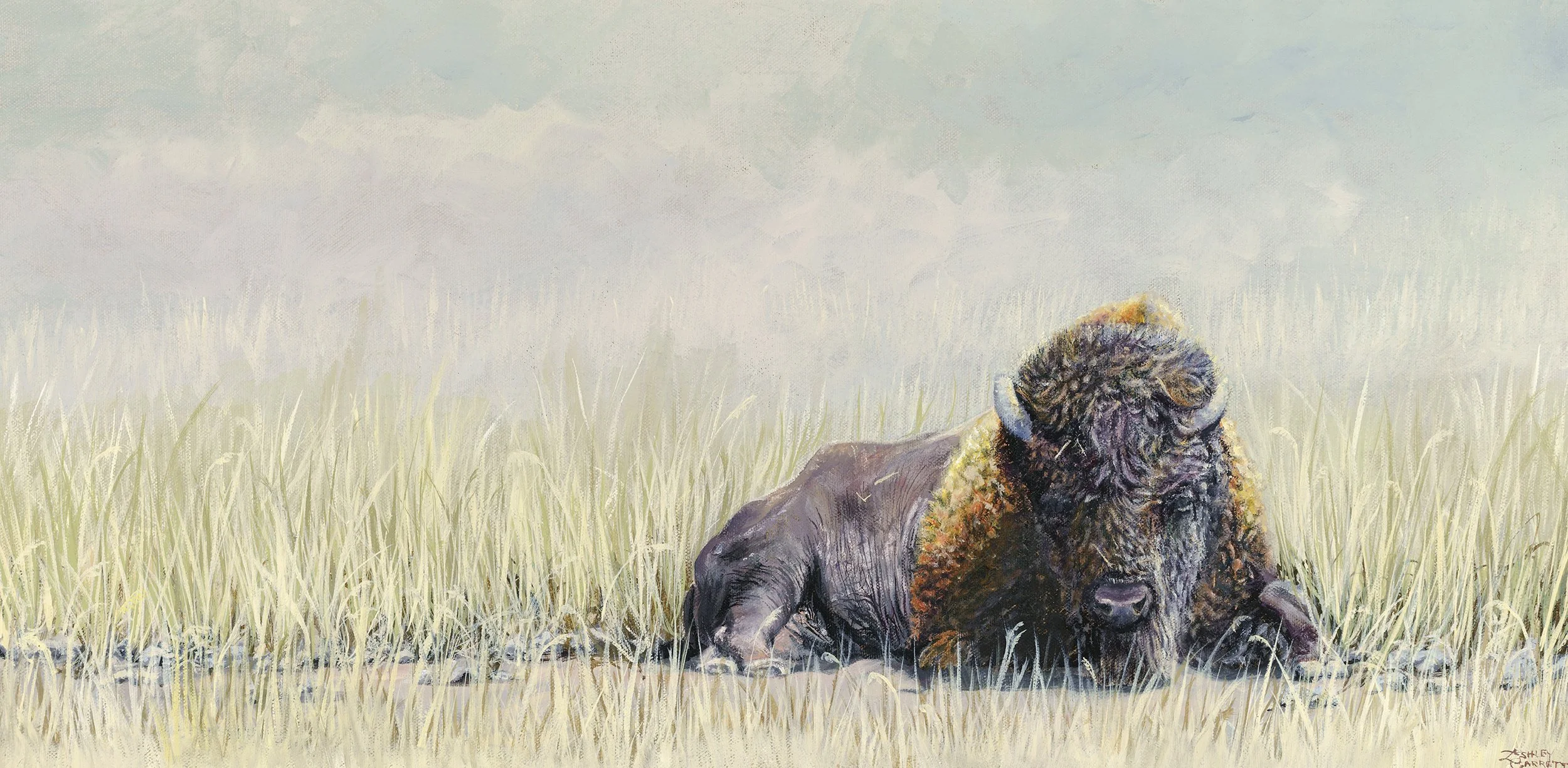 Bison on Antelope Island
24" x 12"
Oil on Linen