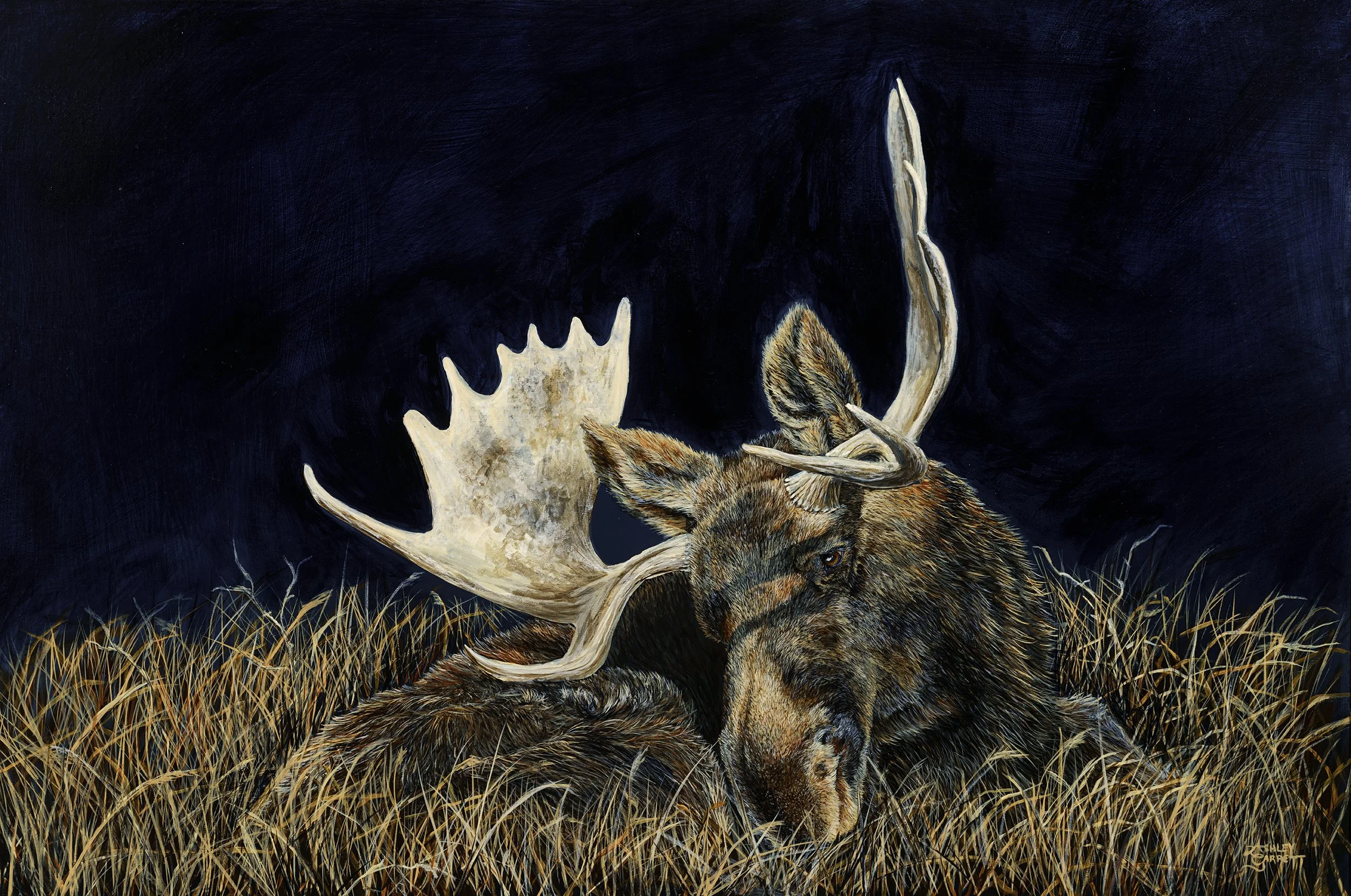 Moose
36" x 24"
Acrylic on Linen
