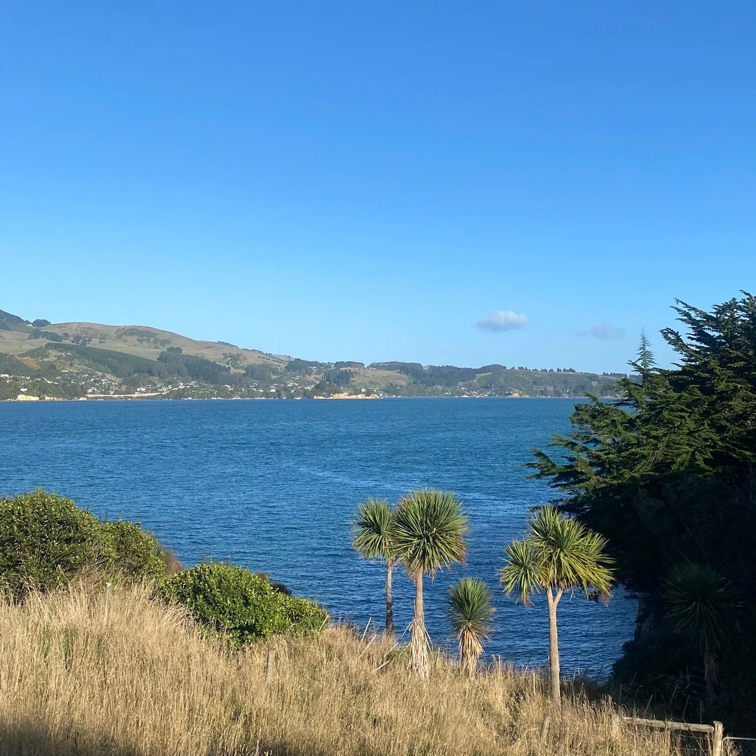 2026 Otago Global Health Institute Conference