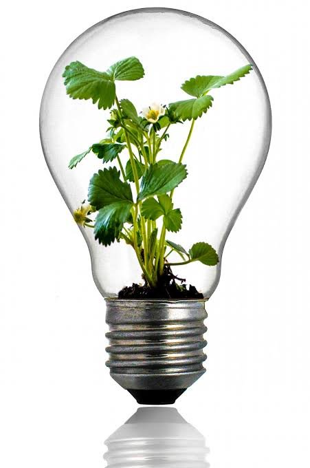 Otago Energy Research Centre (OERC) 20th Annual Symposium 2026