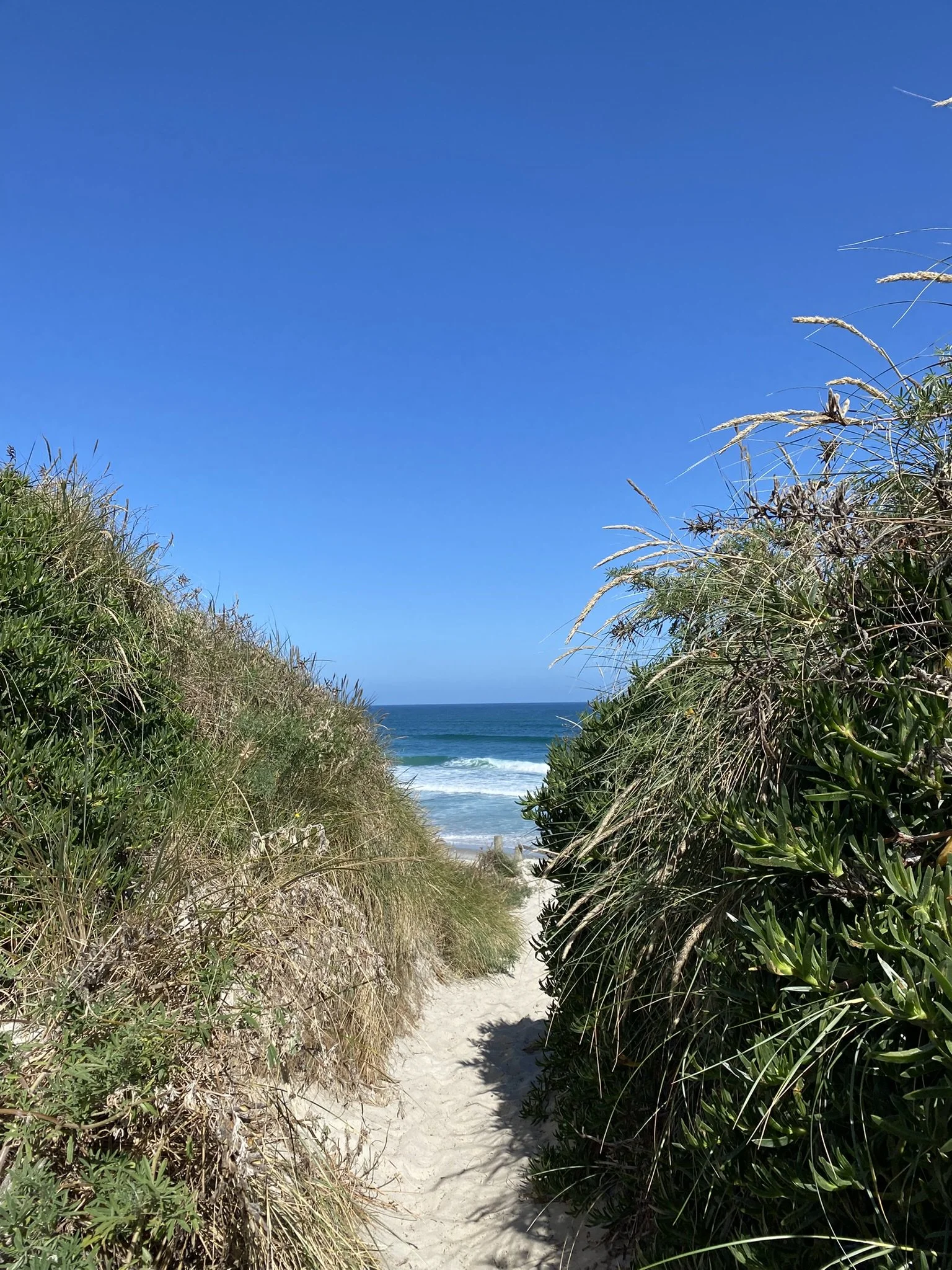 Climate Health Aotearoa