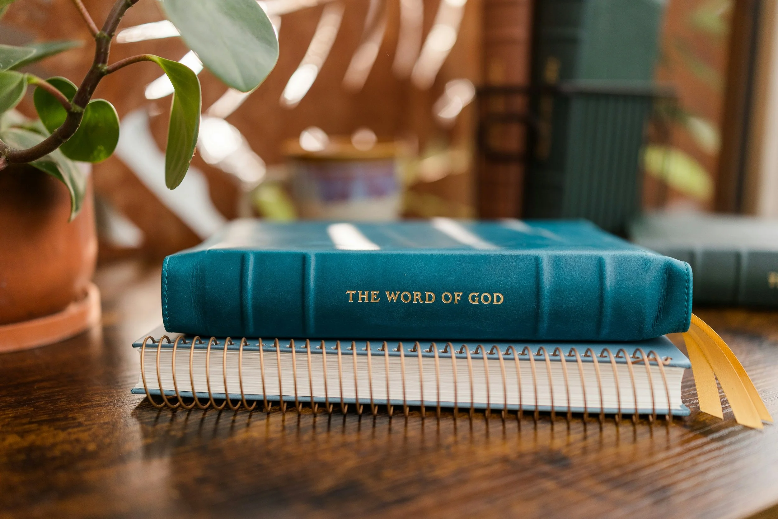 Centre for Theology and Public Issues