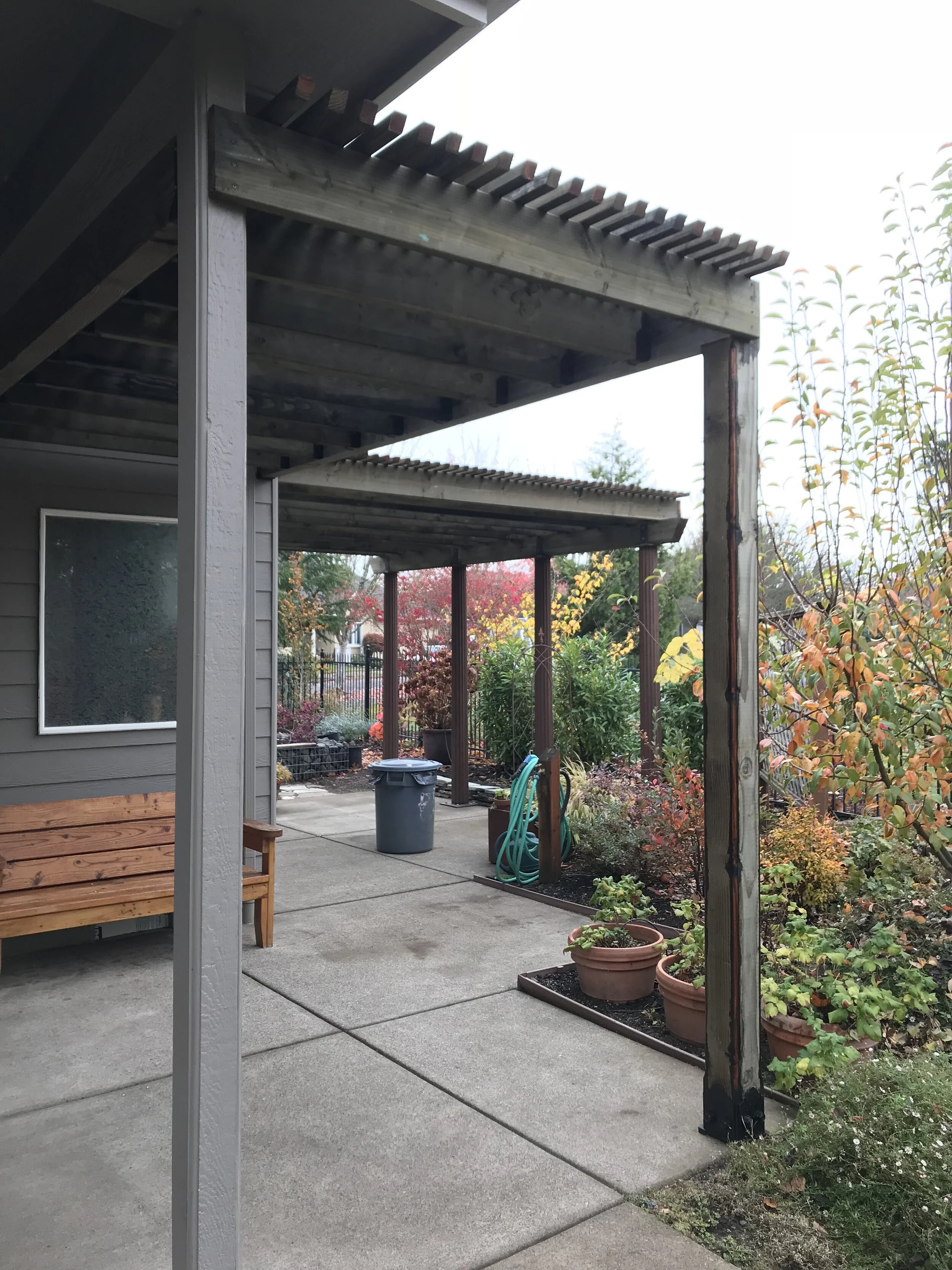 View of a backyard patio with potted plants, a garden hose, and a trash can, with a wooden pergola structure and a house wall in the background, during fall with colorful trees.
