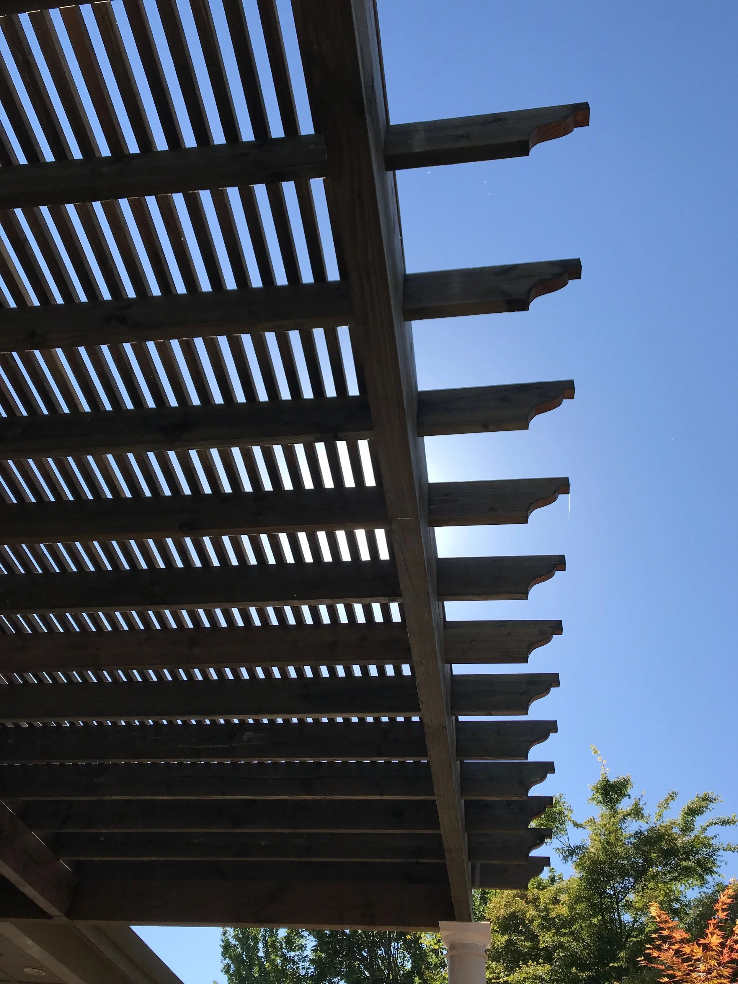 Wooden pergola with slatted roof in a garden with trees and blue sky