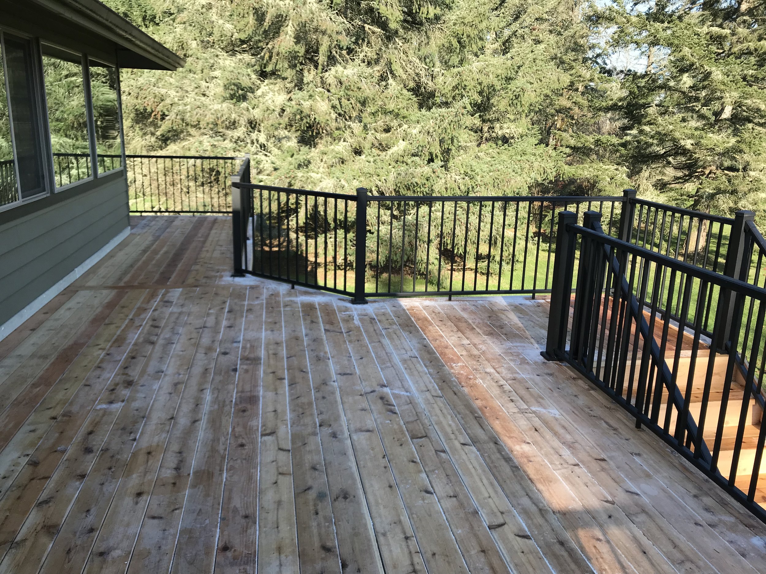 View from a balcony with a black metal railing overlooking a forested area with tall green trees.