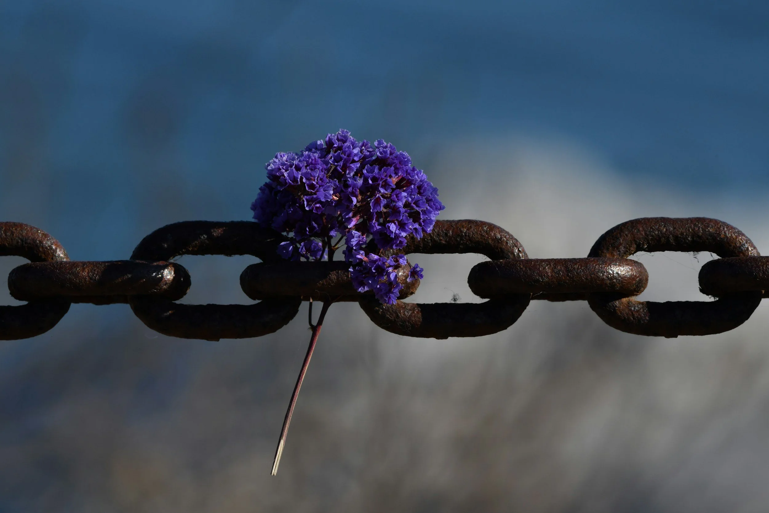 Healing Through Pain: Finding Light in the Hard Places