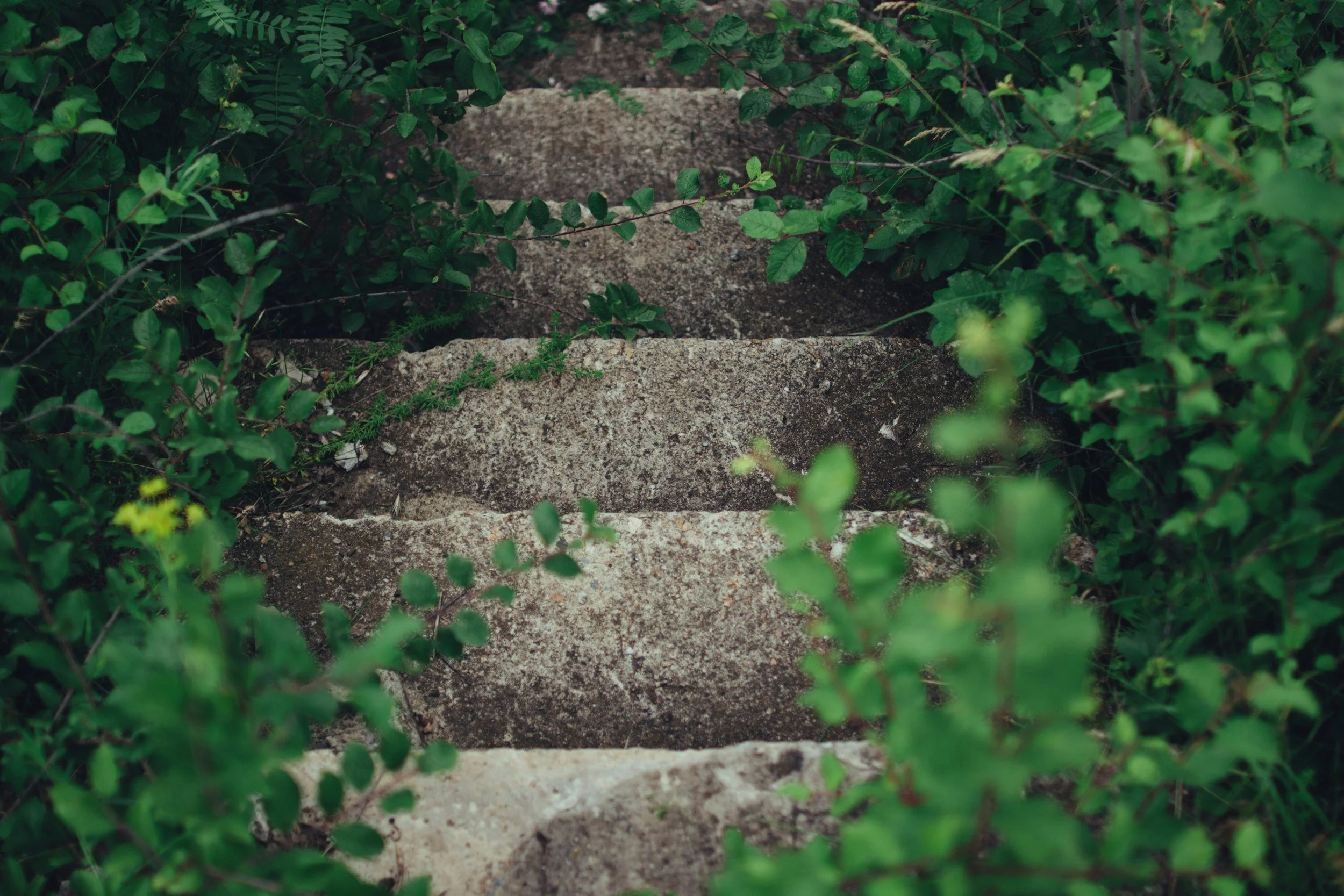 Small Steps Create Big Shifts
