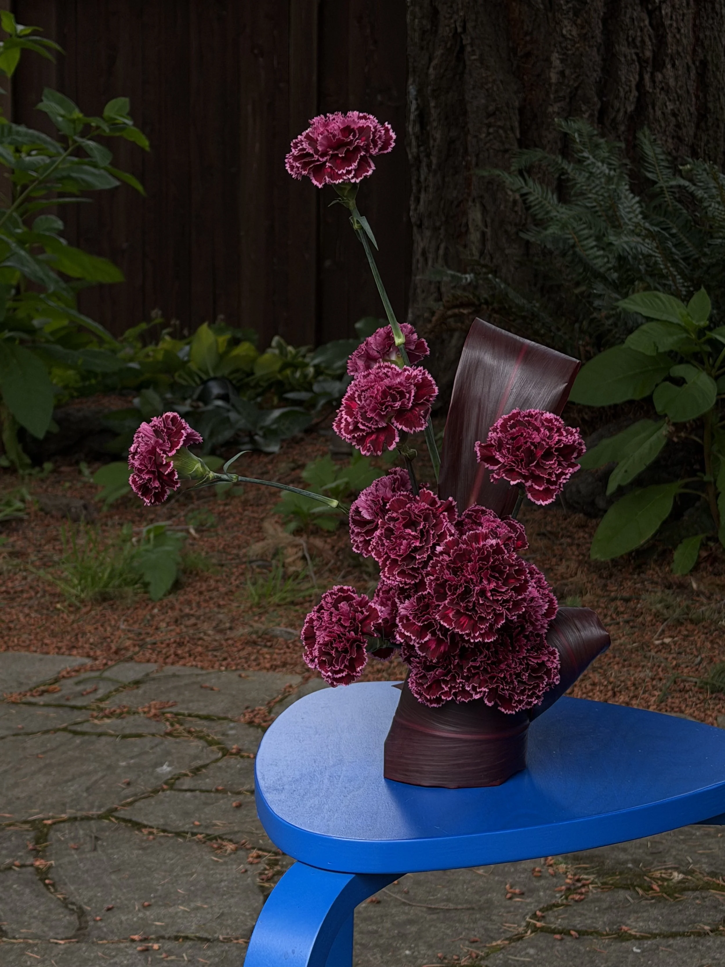 A bright pink and dark pink striped carnation flower in a dark red, curved vase on a round blue table outdoors, with green foliage, a tree trunk, and a wooden fence in the background.