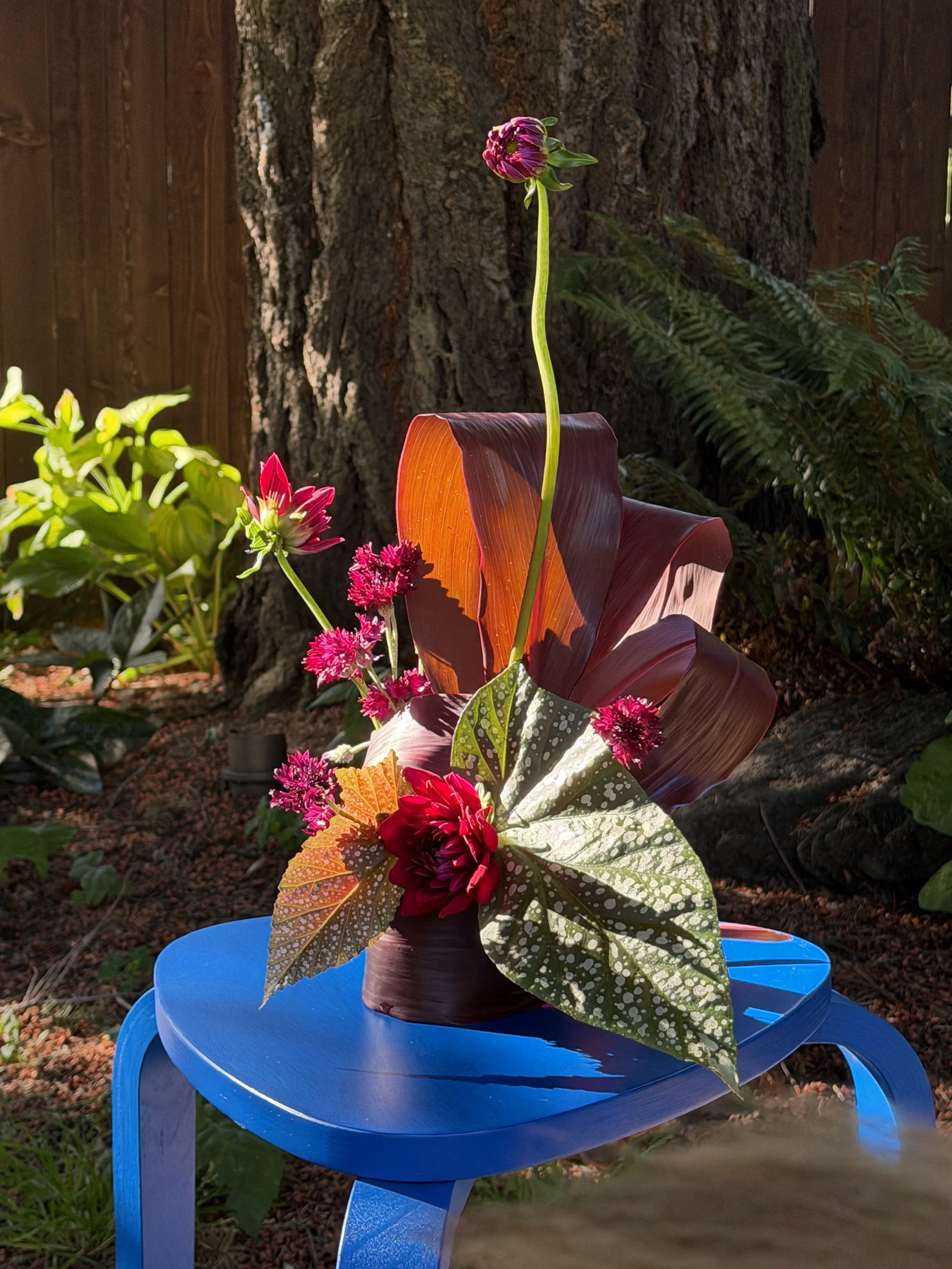 A flower arrangement in a tall vase sits on a blue table outdoors, with a large tree and wooden fence in the background. The arrangement includes a prominent red flower, green and red leaves, and smaller pink flowers.