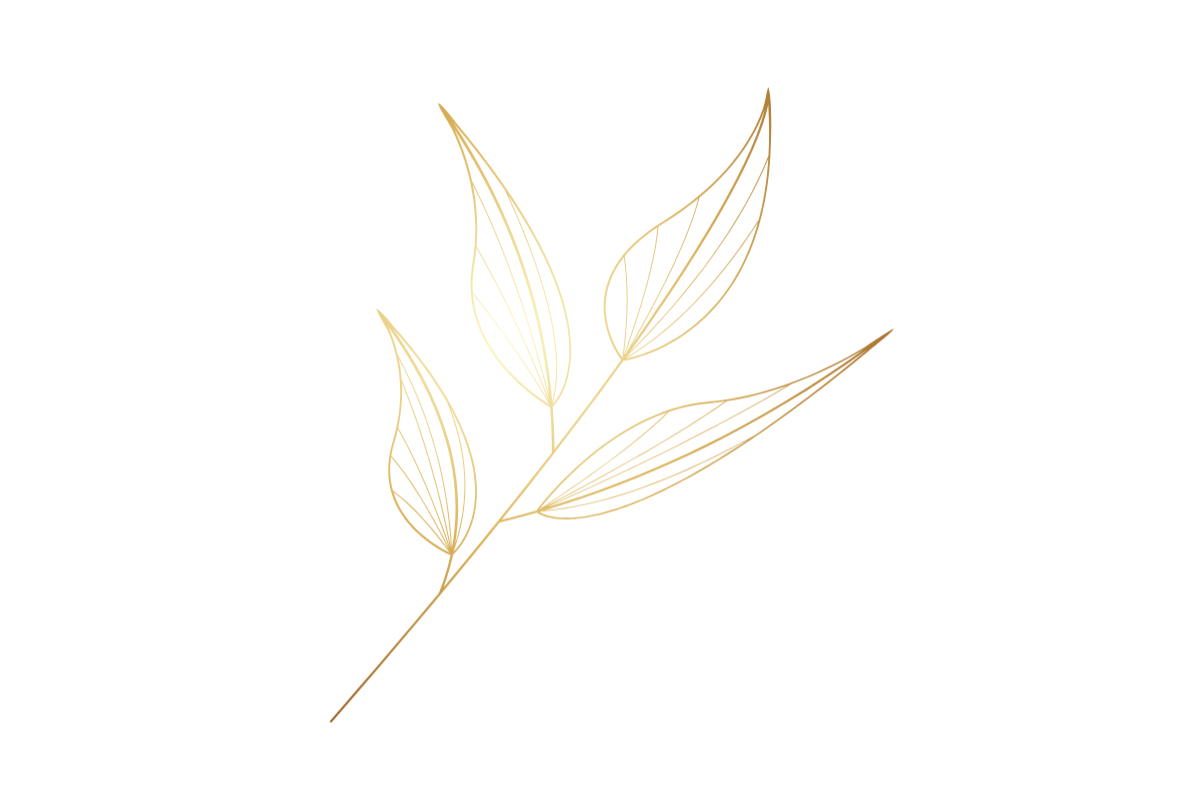 Abstract illustration of a plant with golden leaves and stem on a black background.