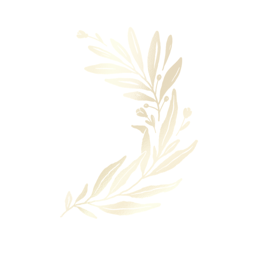 A decorative book cover featuring a dark teal background, a red band at the top, a beige branch with leaves extending from the left side, and a beige horizontal stripe at the bottom.