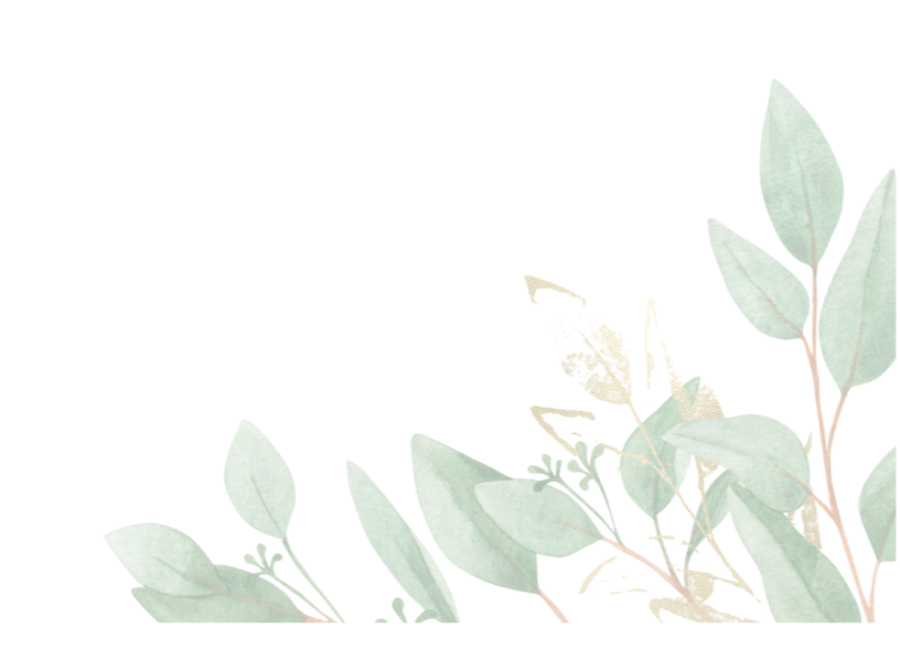 Illustration of various green leafy plants with different shapes and sizes.