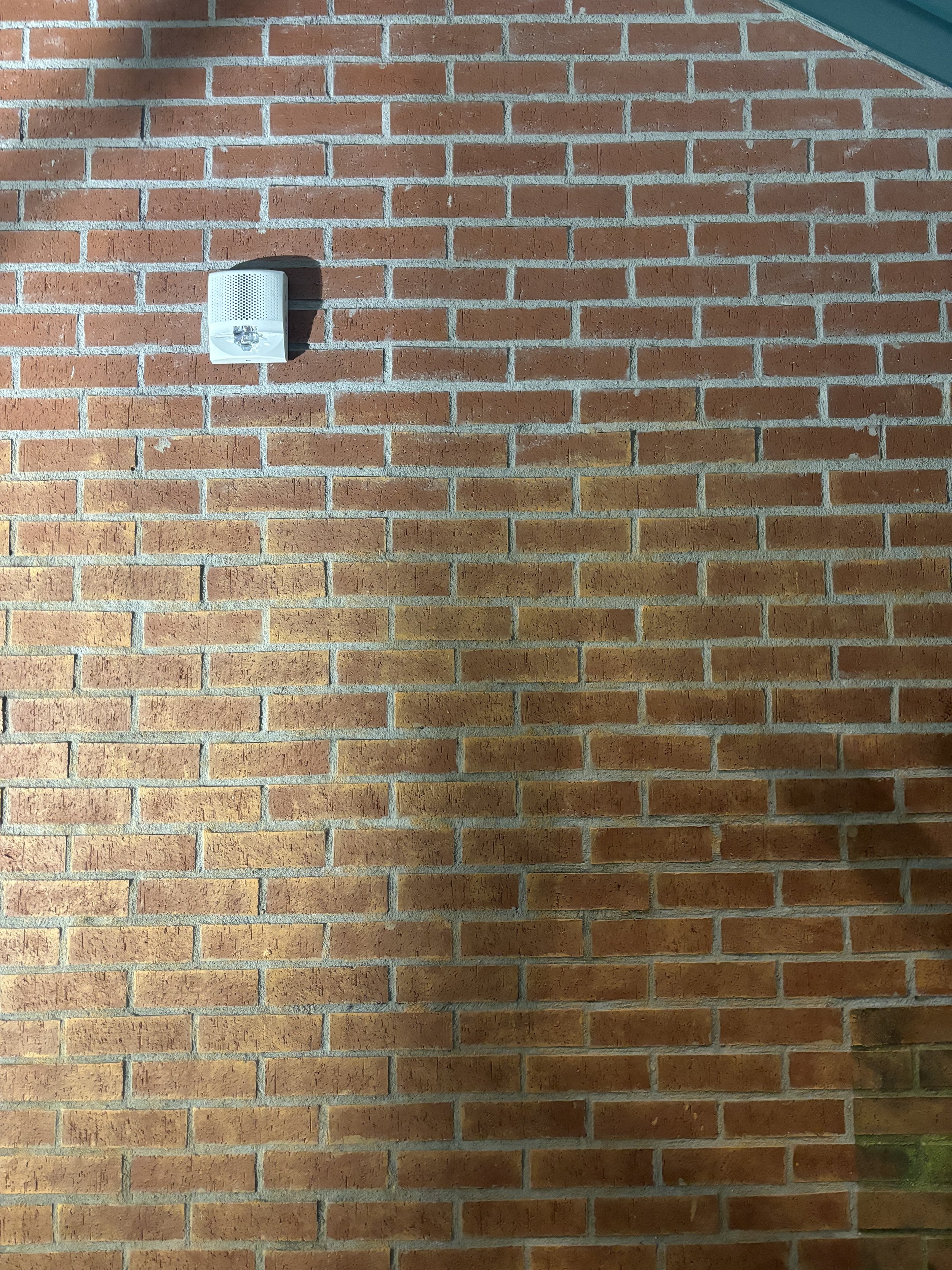 IMG_7989.jpeg