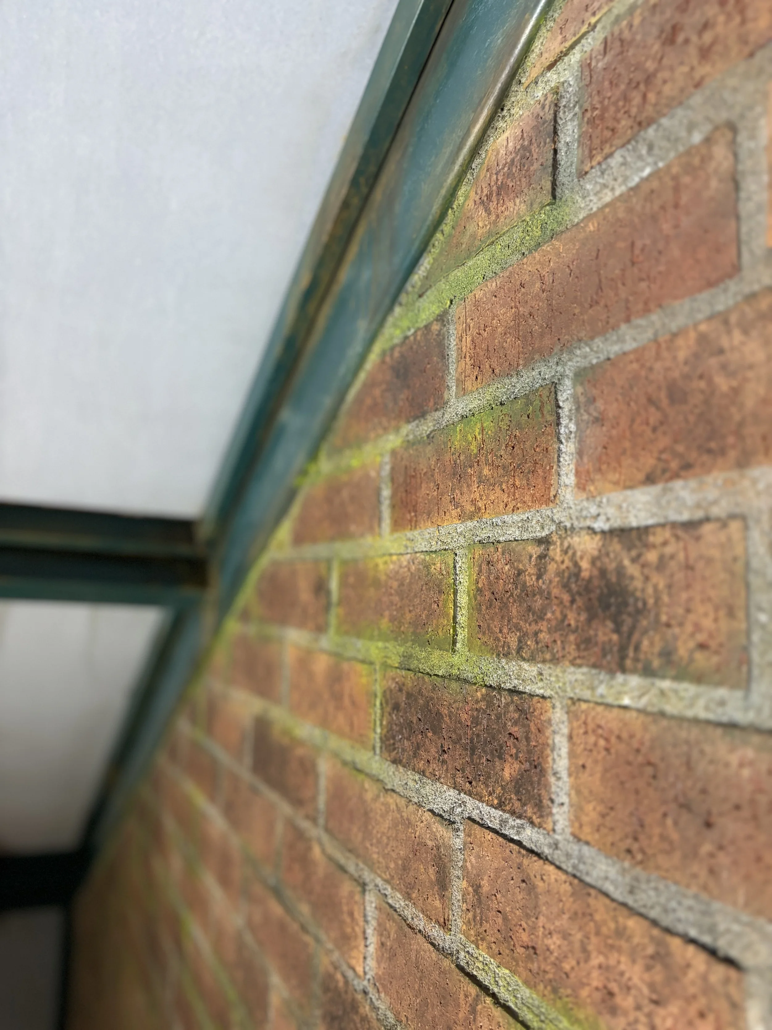 IMG_8031.jpeg