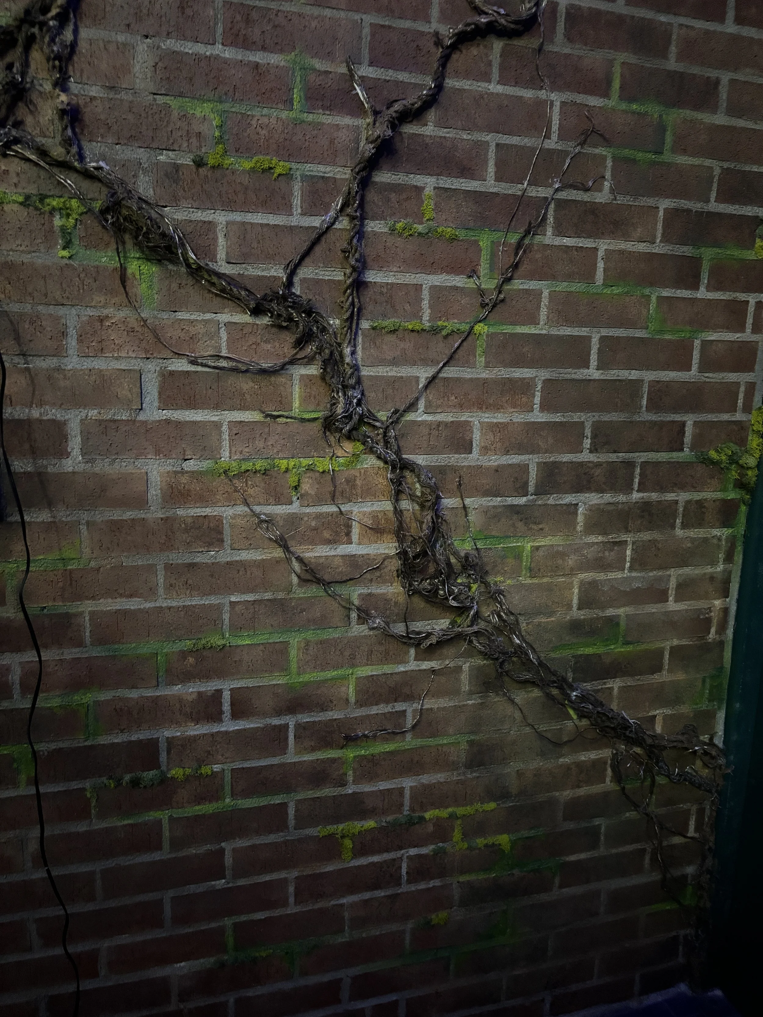 IMG_8453.jpeg