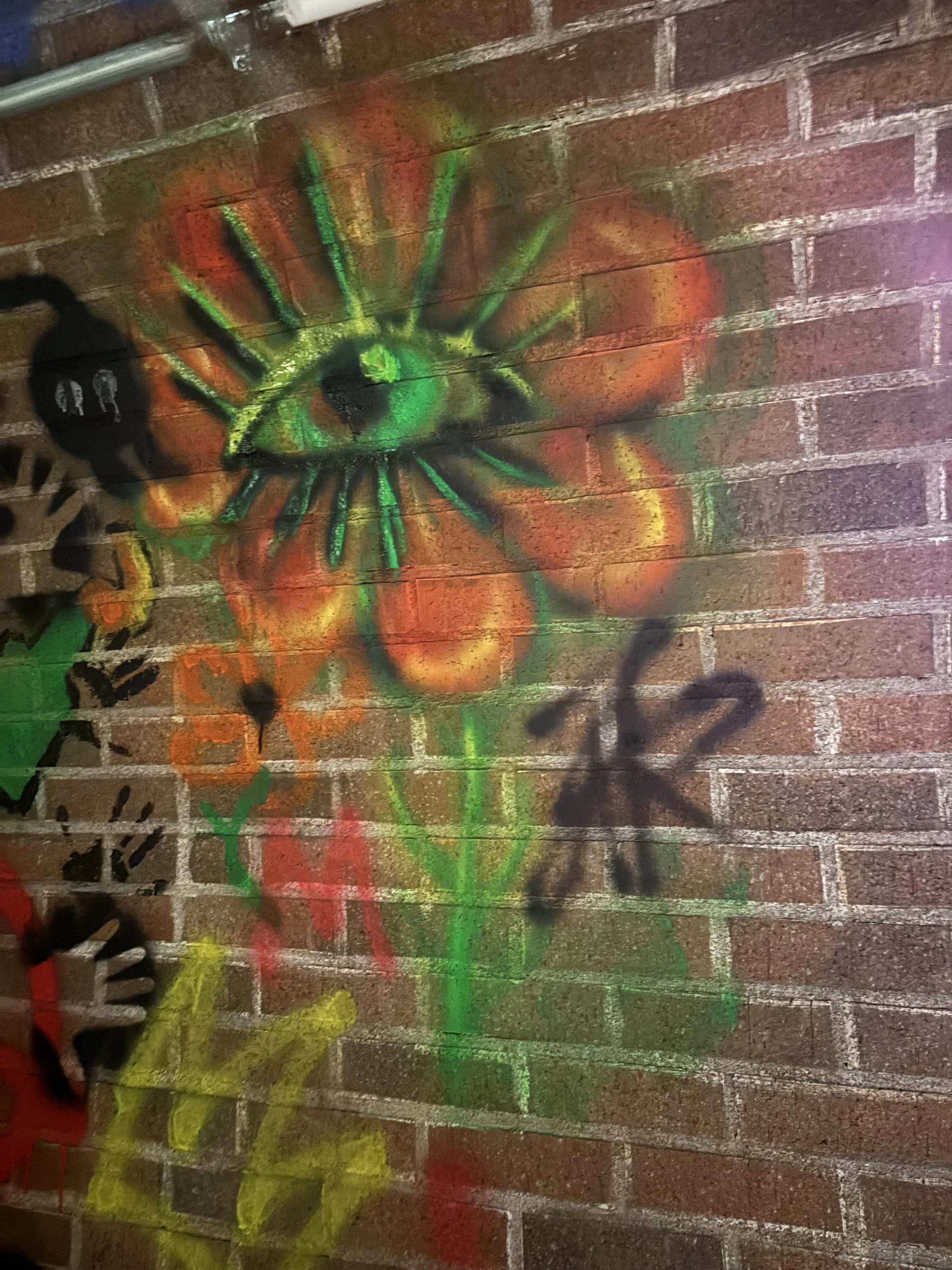 IMG_8002.jpeg