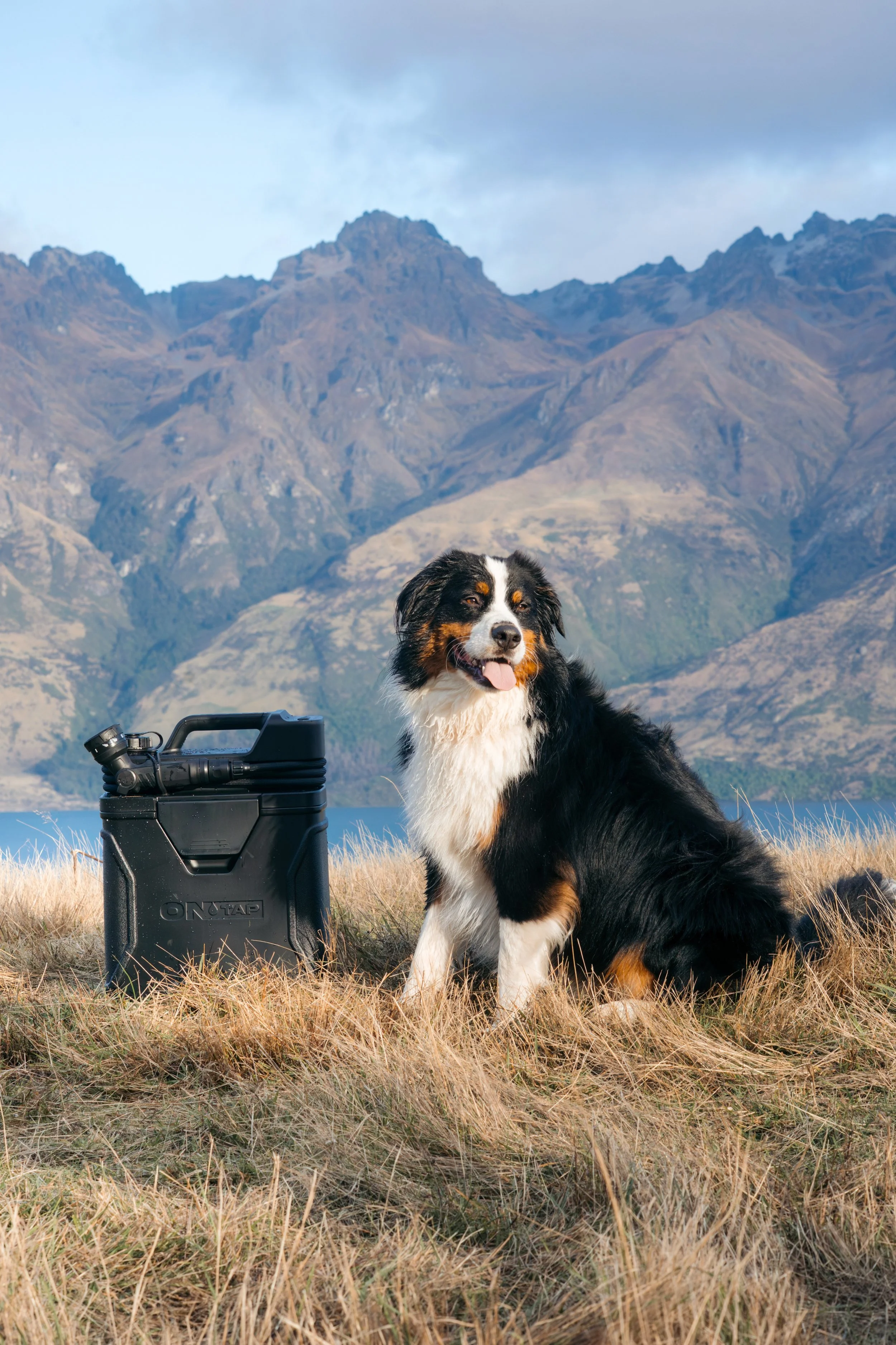 A Bernese Mountain Dog sitting on a grassy field near a body of water with mountain ranges in the background and a portable speaker nearby.