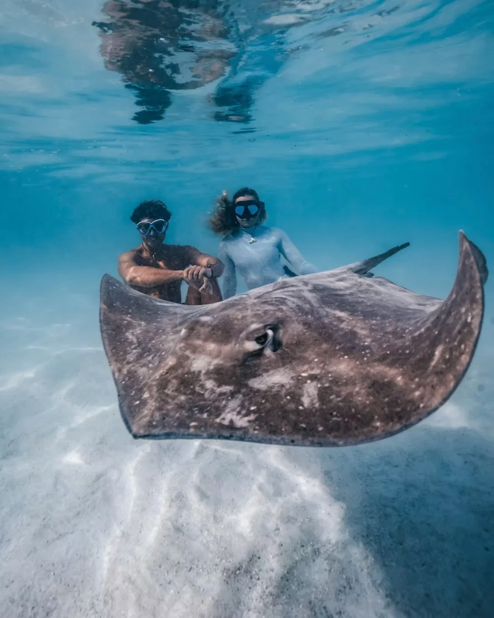 Underwater photo of two people swimming next to a large stingray, with one person holding the stingray's wing, in clear blue water.