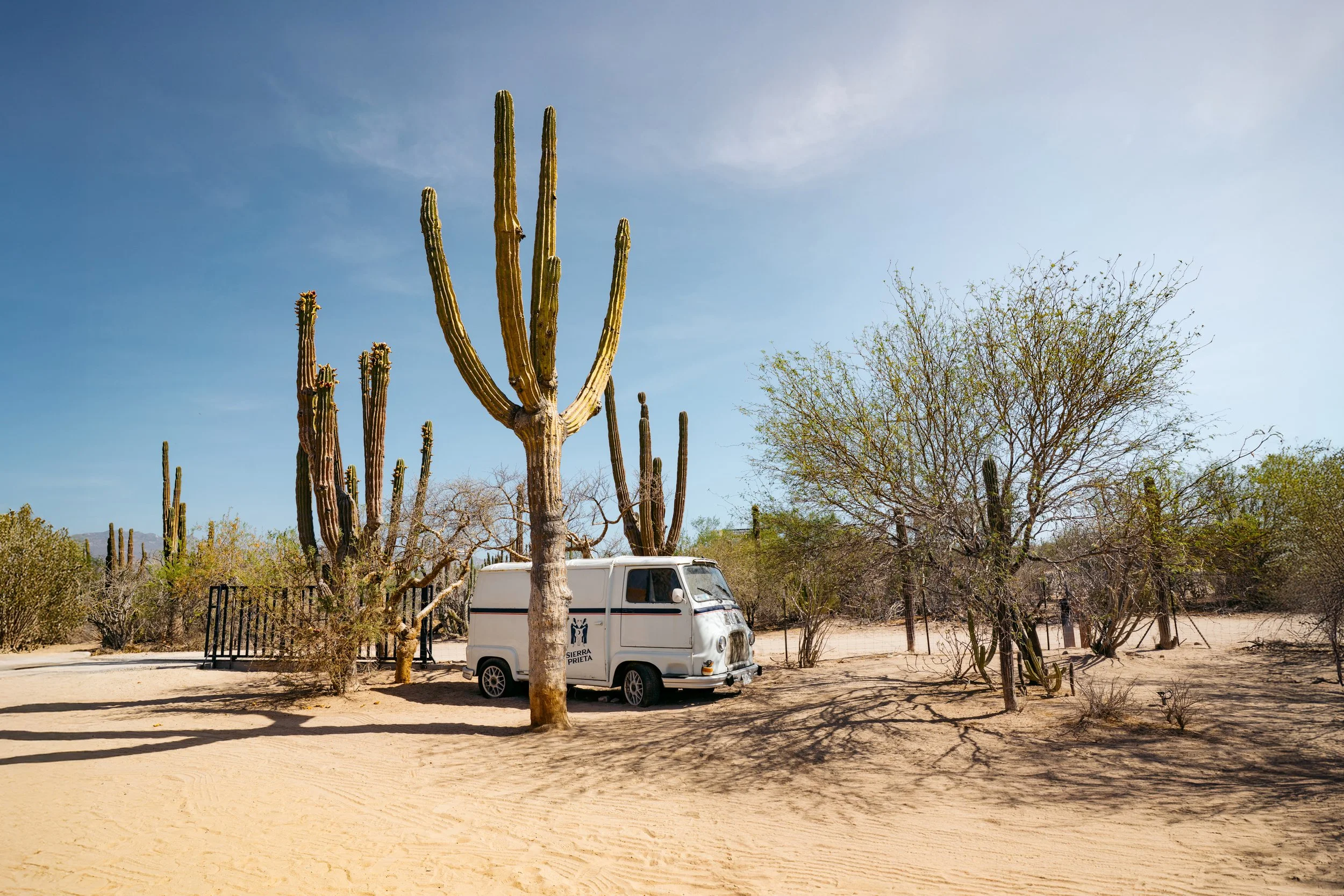 An arid desert landscape featuring tall cacti, sparse desert vegetation, a white van with 