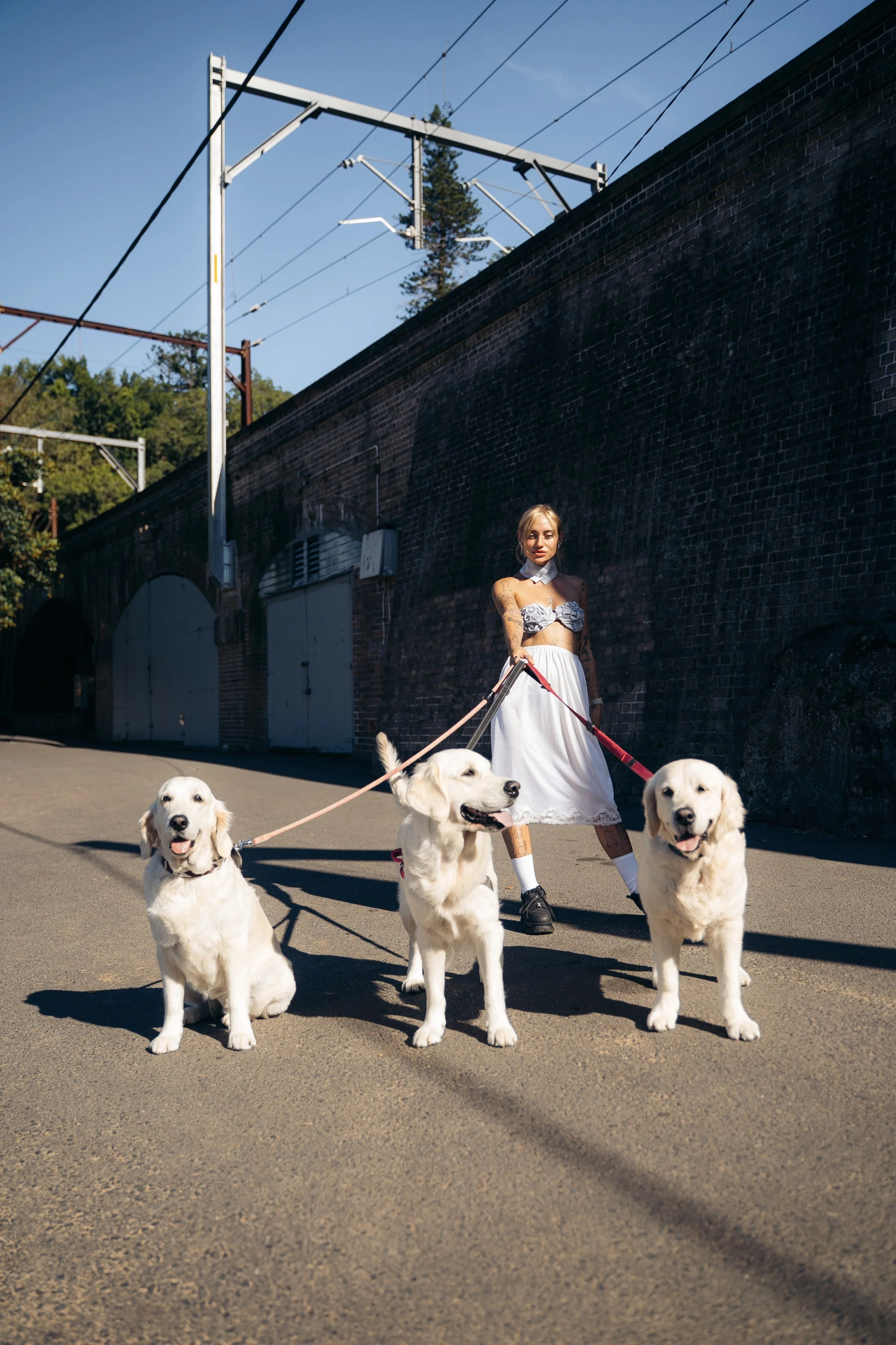 A woman with tattoos on her arms and wearing a strapless top and long skirt stands on a paved street holding three Golden Retriever dogs on leashes. The dogs are facing forward with happy expressions. In the background, there is a brick wall, electri