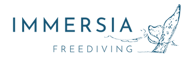 Immersia Freediving logo with a stylized dolphin illustration