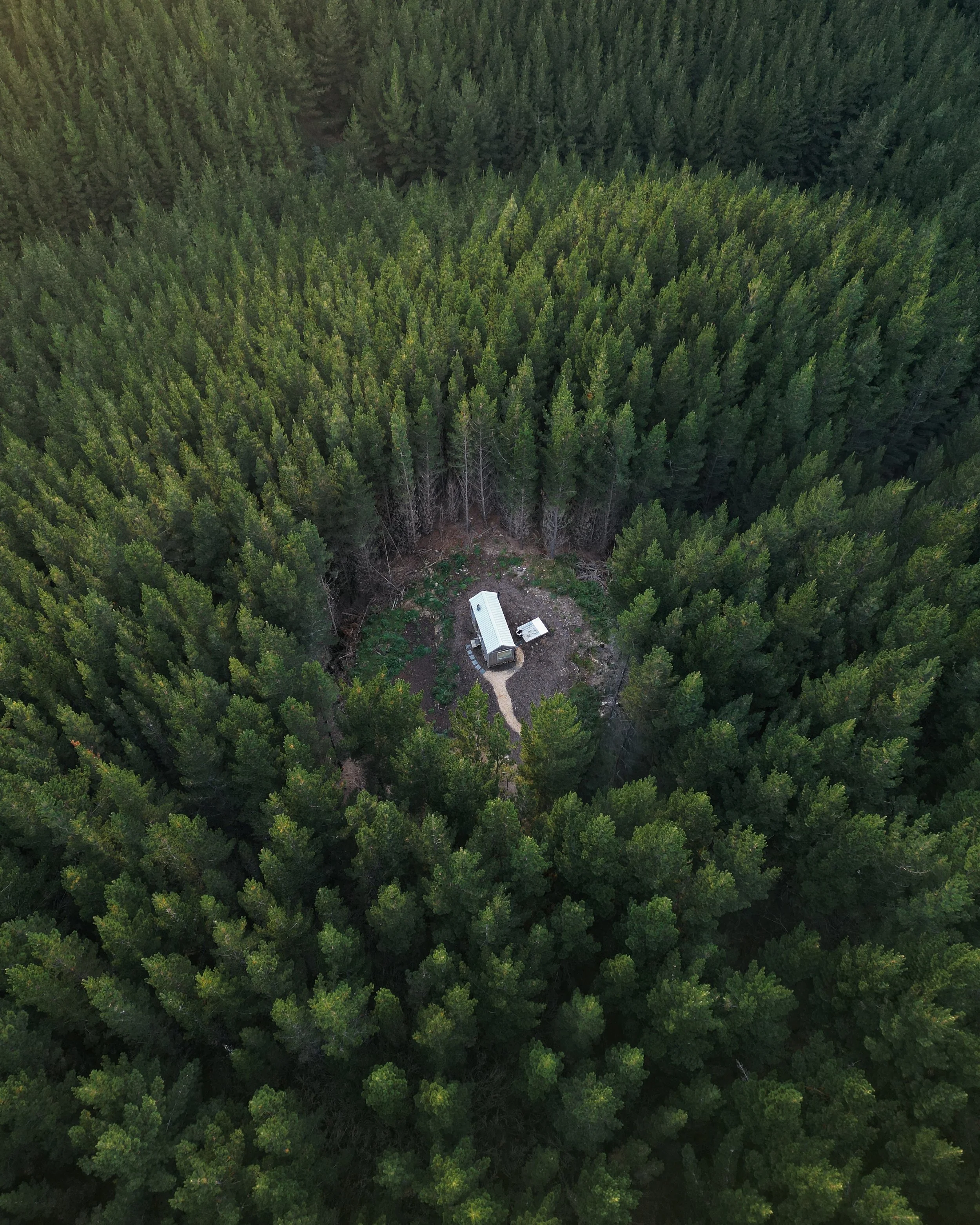 Aerial view of a dense green forest with a small clearing containing a mobile home and some trees.