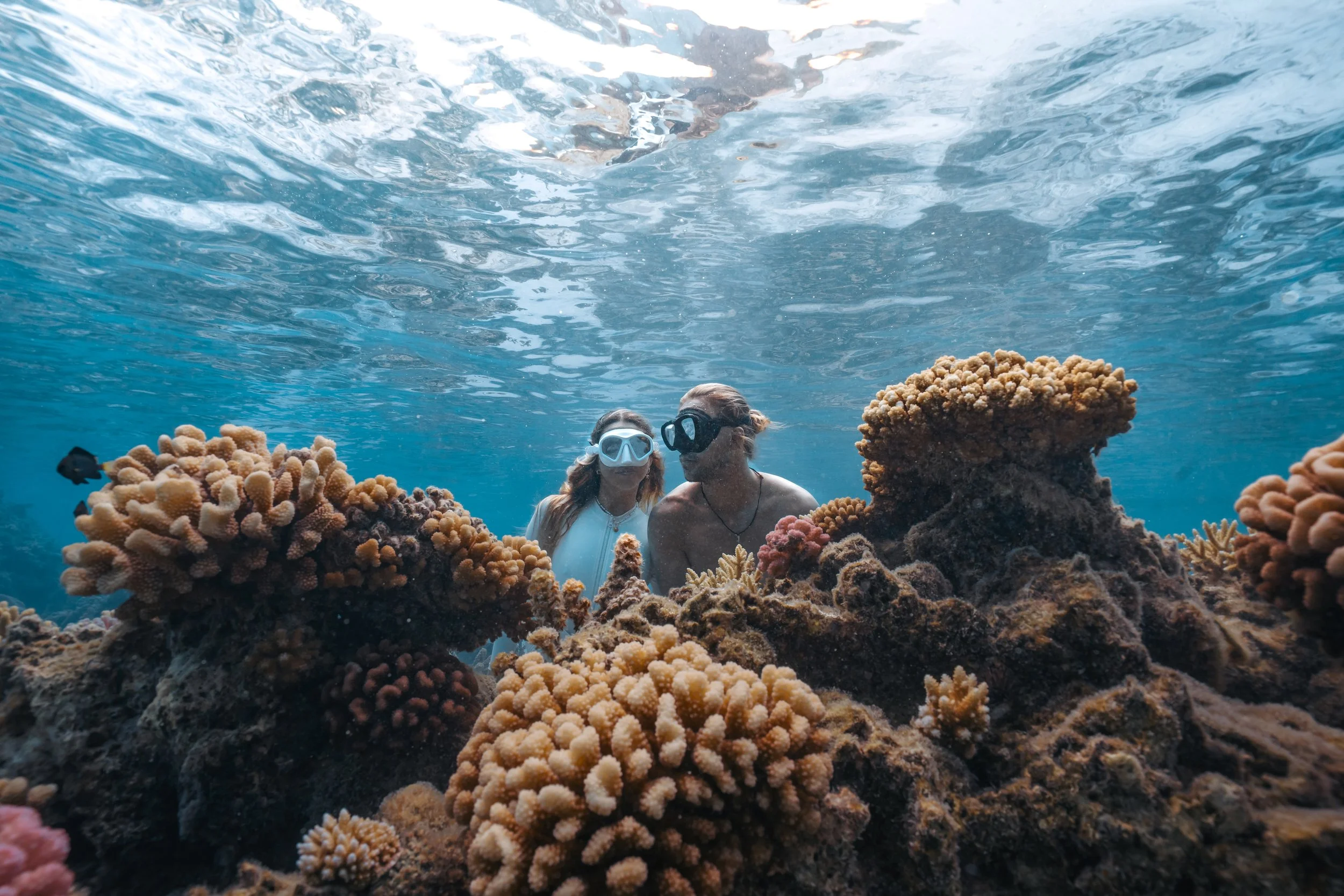 Two scuba divers, a man and a woman, exploring a colorful coral reef underwater while wearing diving masks and snorkels. The reef is full of various coral formations in shades of pink, orange, and yellow.