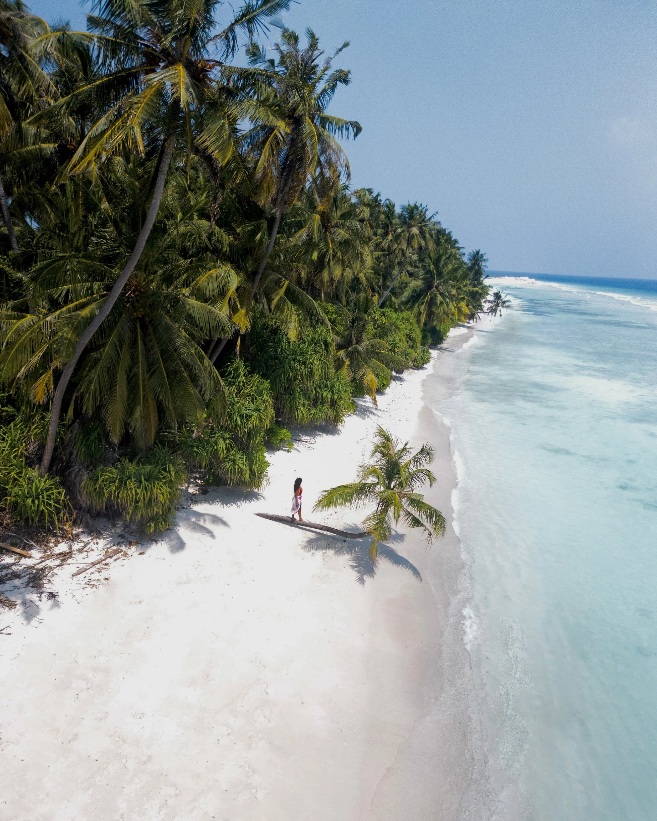 A woman standing on a fallen palm tree on a white sandy beach with lush green palm trees and ocean waves in the background.