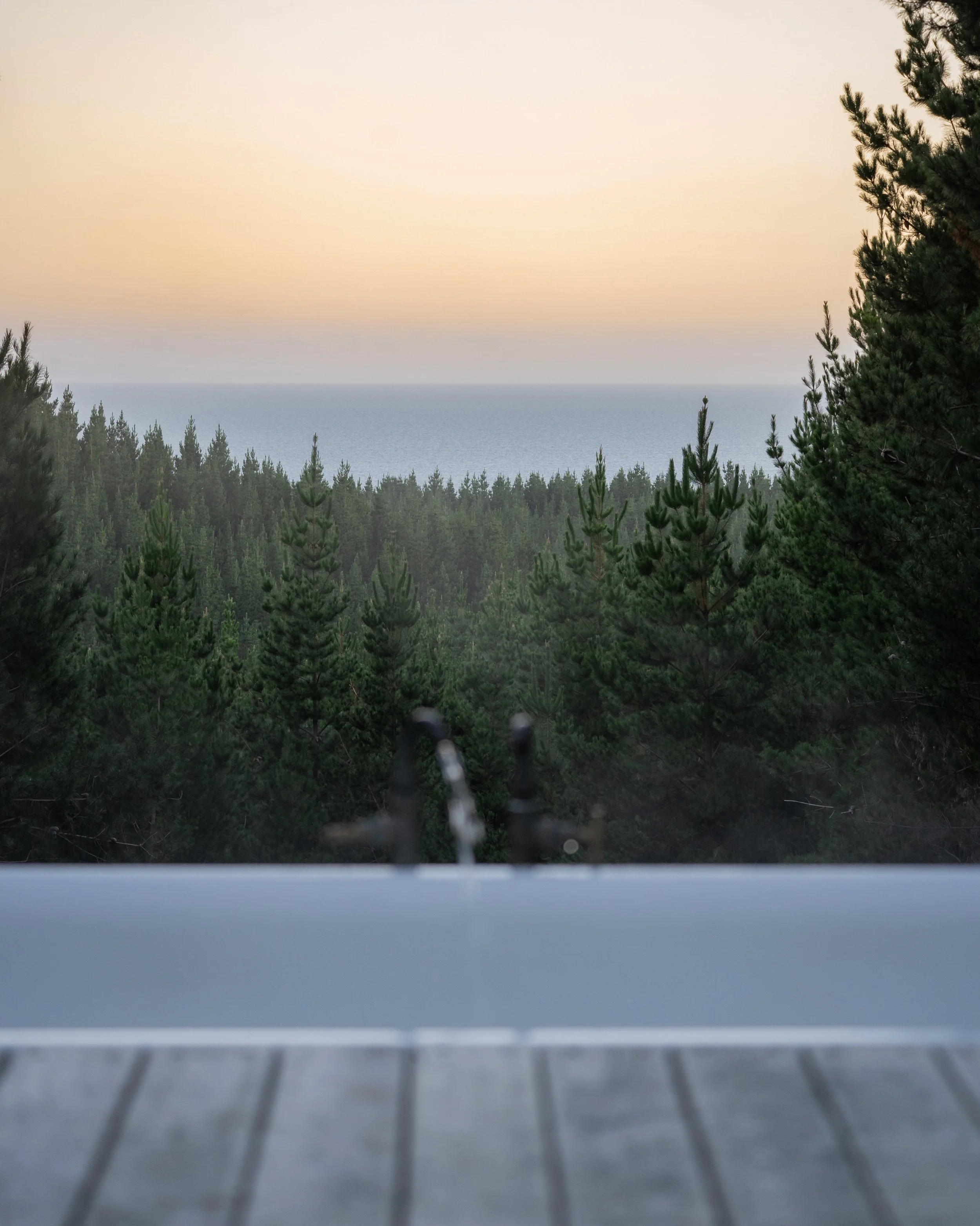 View from beneath a deck showing wooden planks in the foreground, with a forest and body of water in the background during sunset.