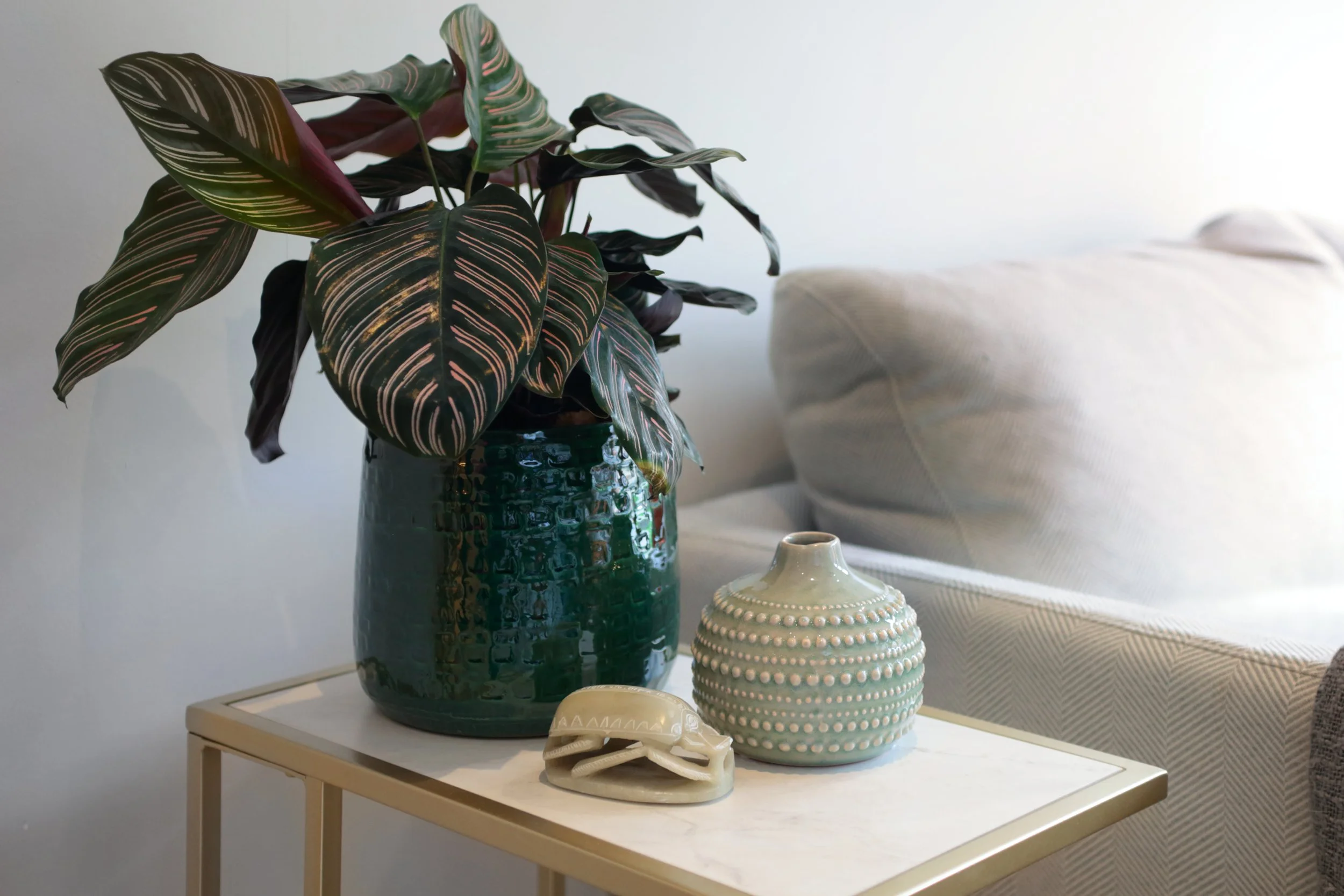 A green ceramic vase with a textured pattern holds large leaves with dark green and pinkish stripes. Next to the vase are beige ceramic objects, including a skull-shaped piece and a rounded container with a dotted design. The objects are on a white table, with a cream-colored couch partially visible in the background.