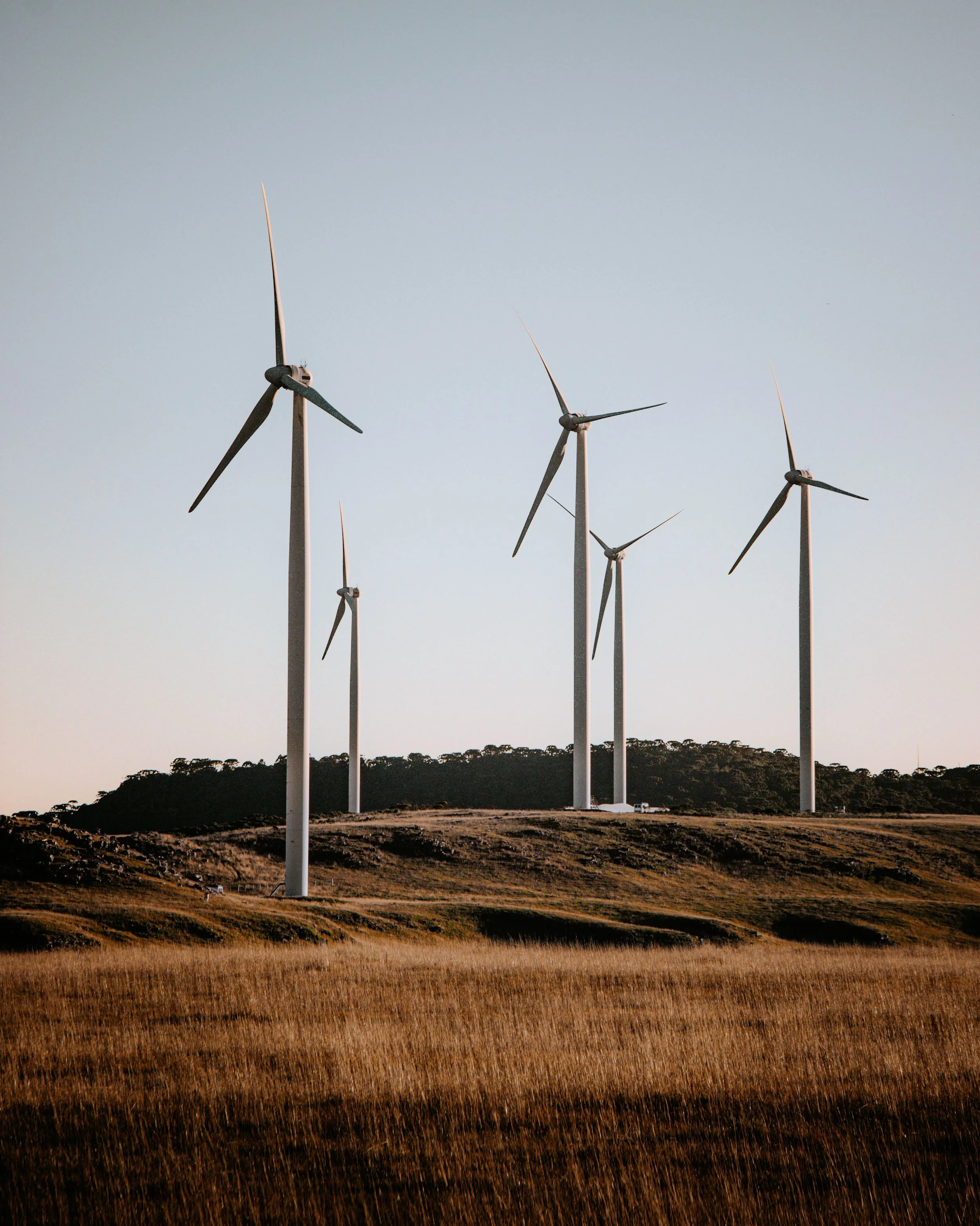 A landscape of wind turbines on a hill during sunset, with a grassy field in the foreground and a clear sky in the background.