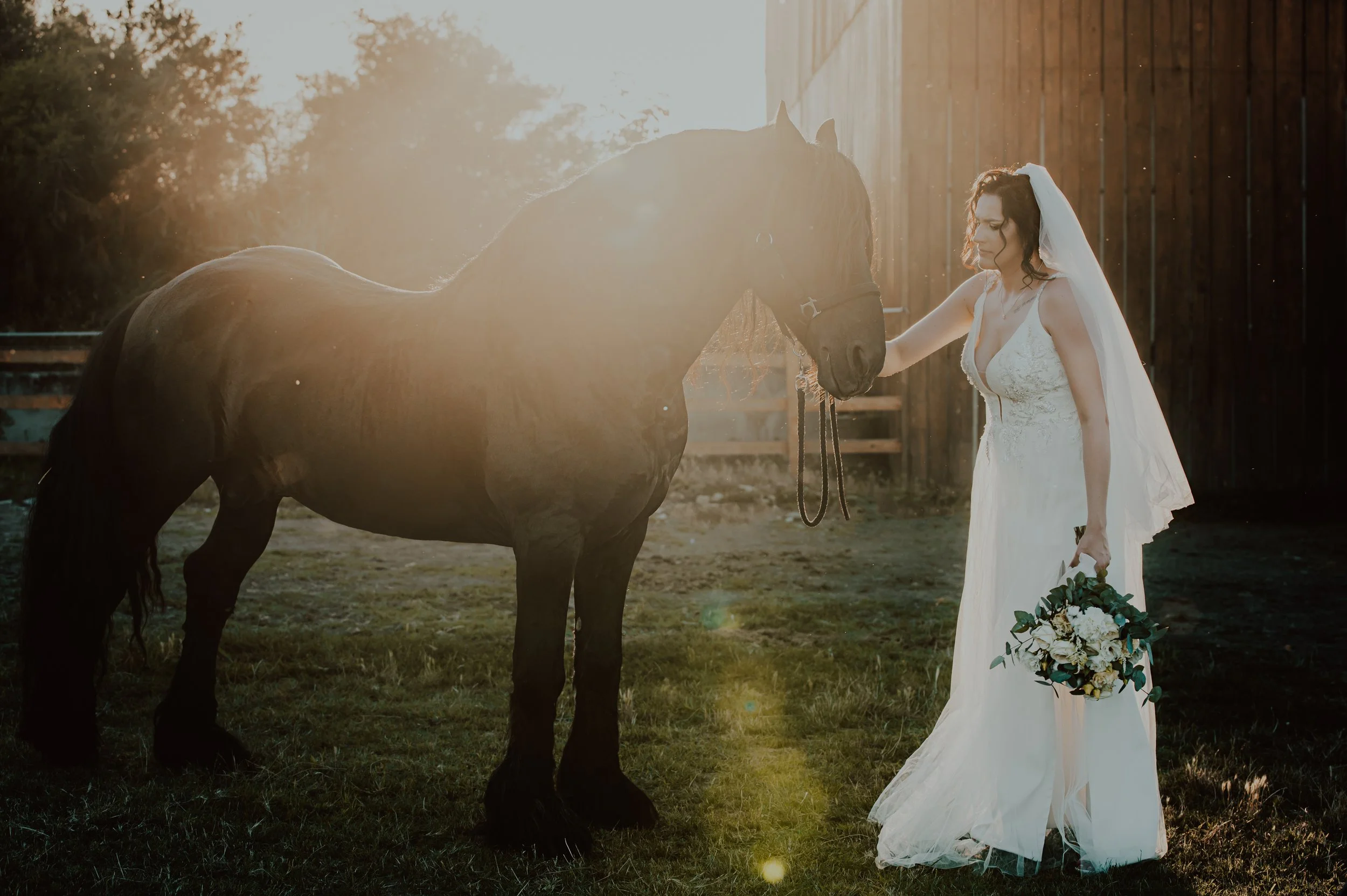 A woman in a wedding dress and veil holding a bouquet stands next to a brown horse, touching its face with her hand in a sunlit outdoor setting.