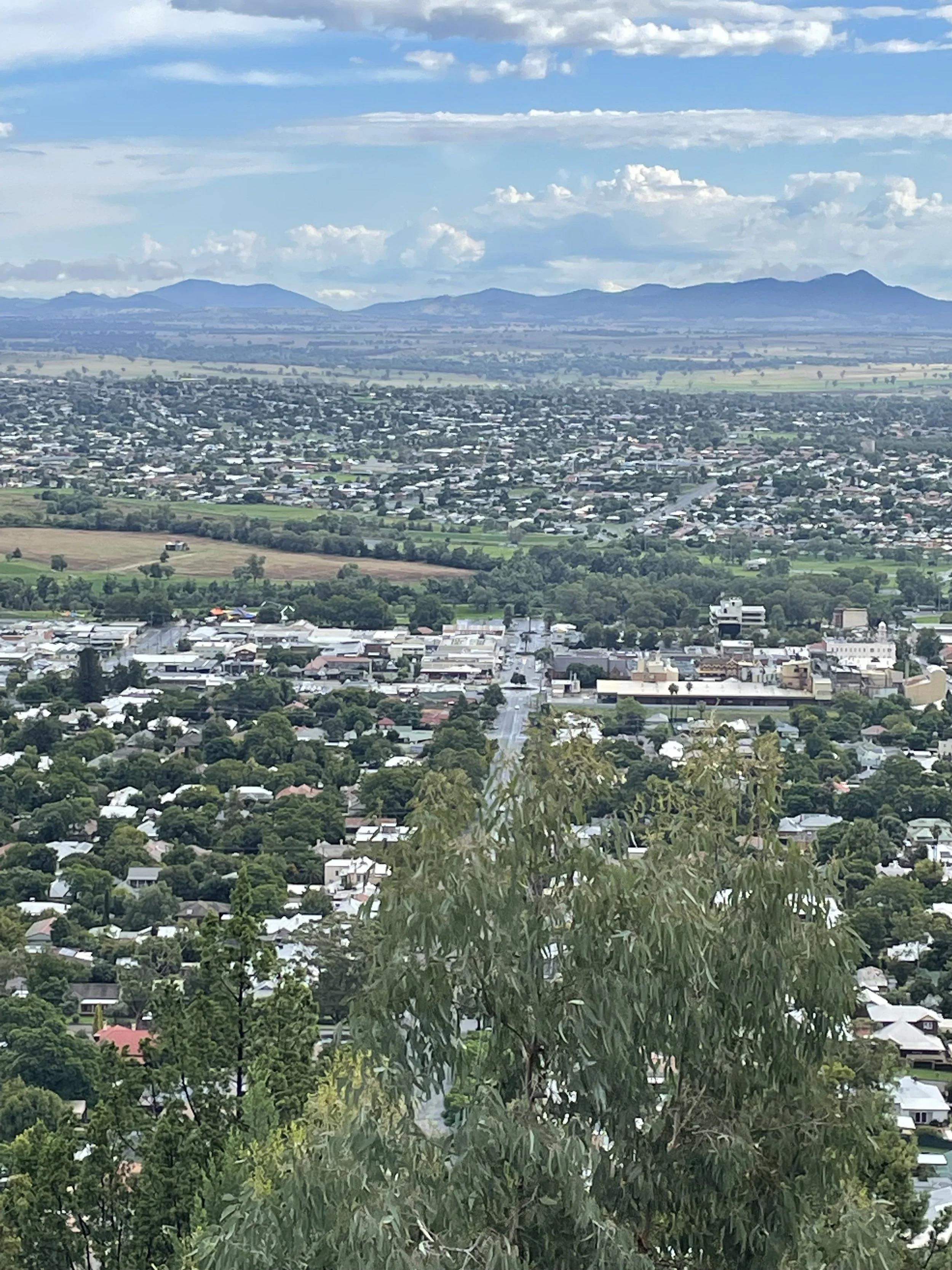 Aerial view of a city with residential houses and commercial buildings, surrounded by green trees and fields. Mountains are visible in the distance under a partly cloudy sky.